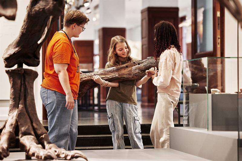 Tre barn undersøker et stort fossil på et museum under veiledning av en voksen.