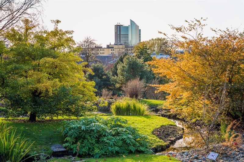 Botanischer Garten