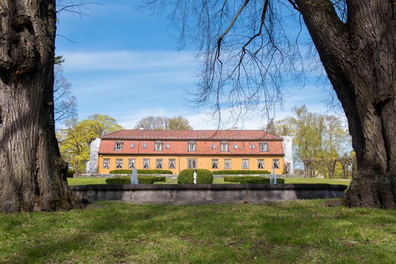 Botanisk hage, Oslo