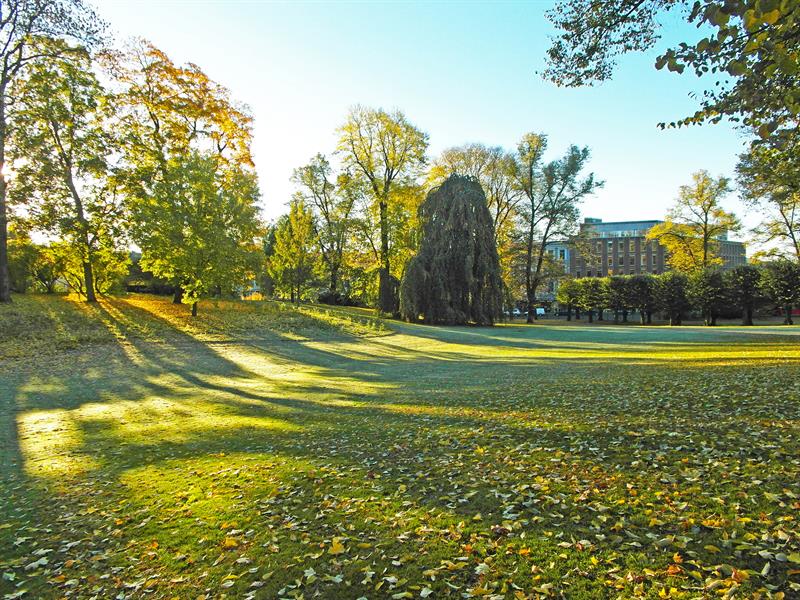plen og trær i slottsparken