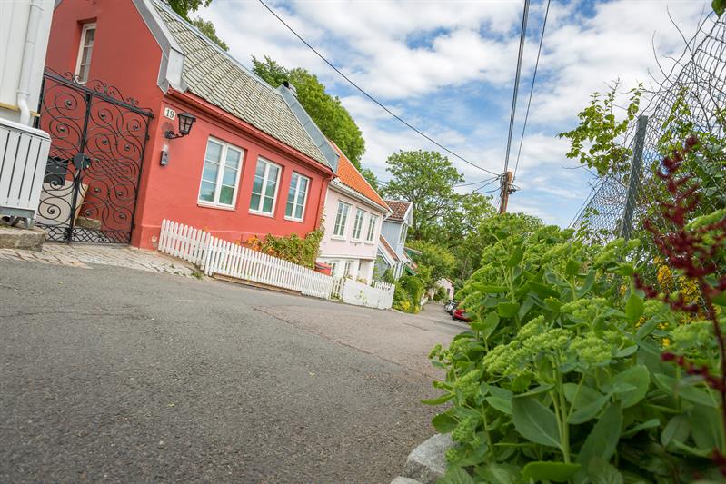 Telthusbakken med gamle hus på den ene siden og en kolonihage på den andre.