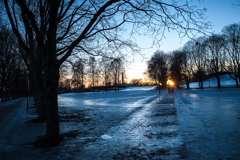 Parken ved solnedgang.