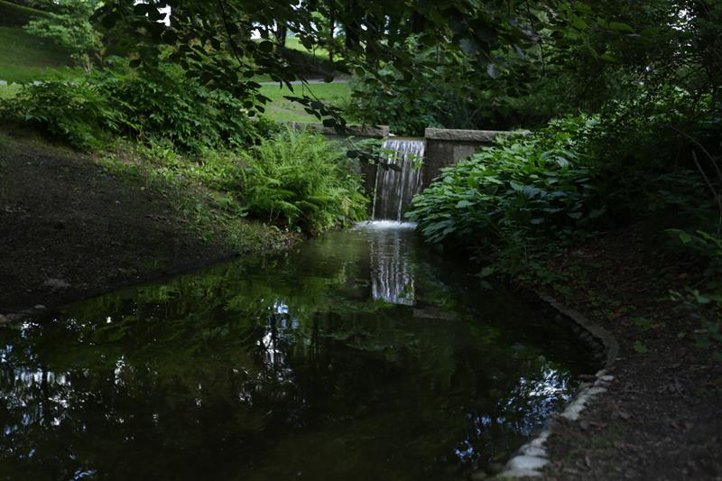Elven nederst i parken