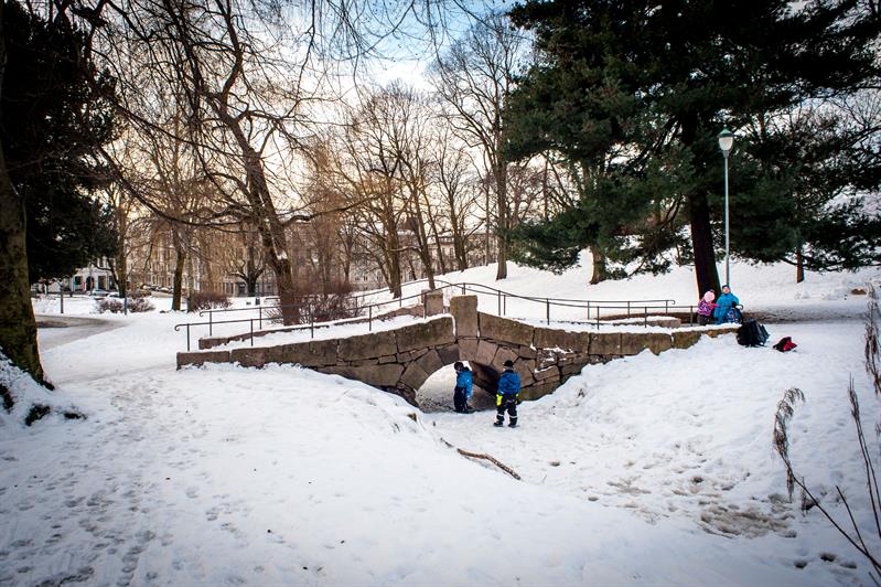 barn som leker i parken om vinteren