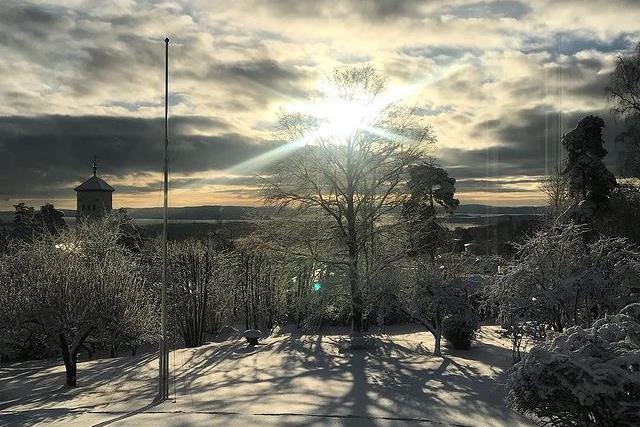Et bilde fra arrangementsstedet av trær dekket av snø.