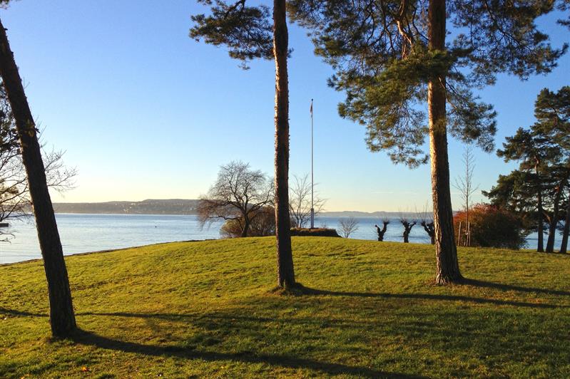 En plen ved stranden, omgitt av trær.