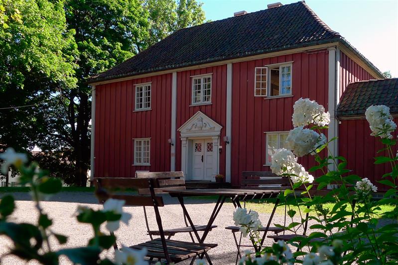 blomster om sommeren