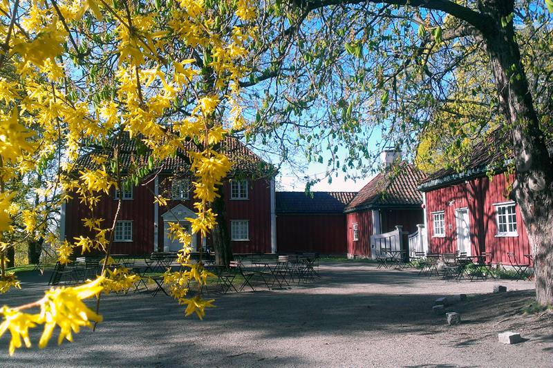 Vøienvolden om våren