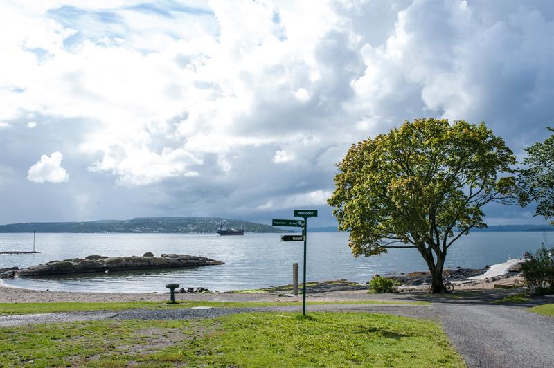 Strand med vei, gressplen og trær.