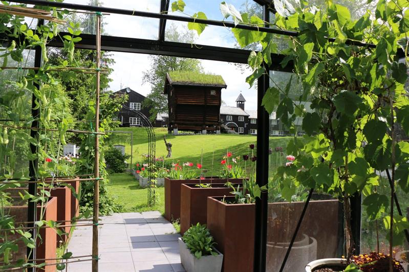 En kjøkkenhage med frodige planter og et drivhus, med tradisjonelle trebygninger i bakgrunnen.