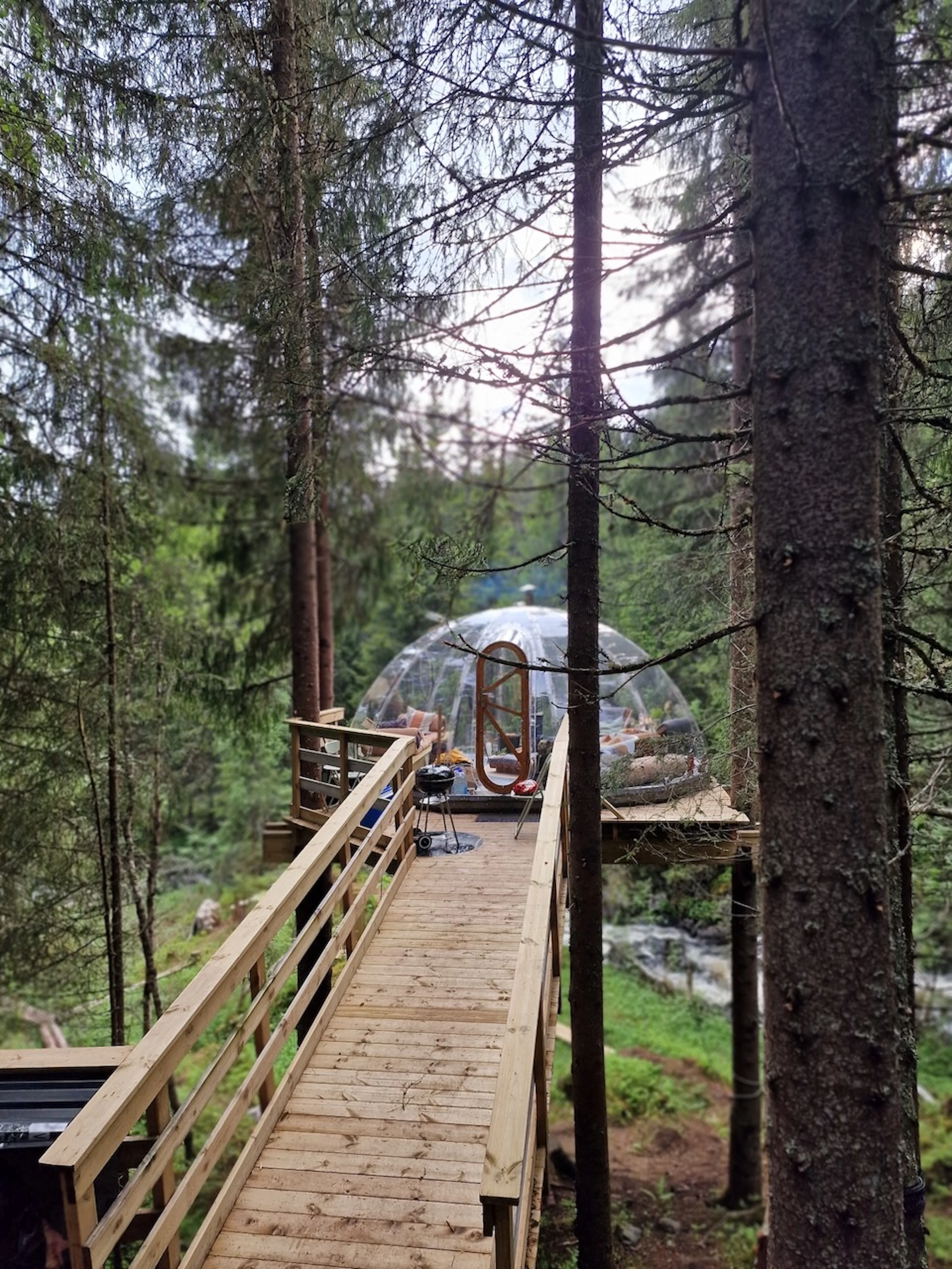Treetop igloo (Lårdal)