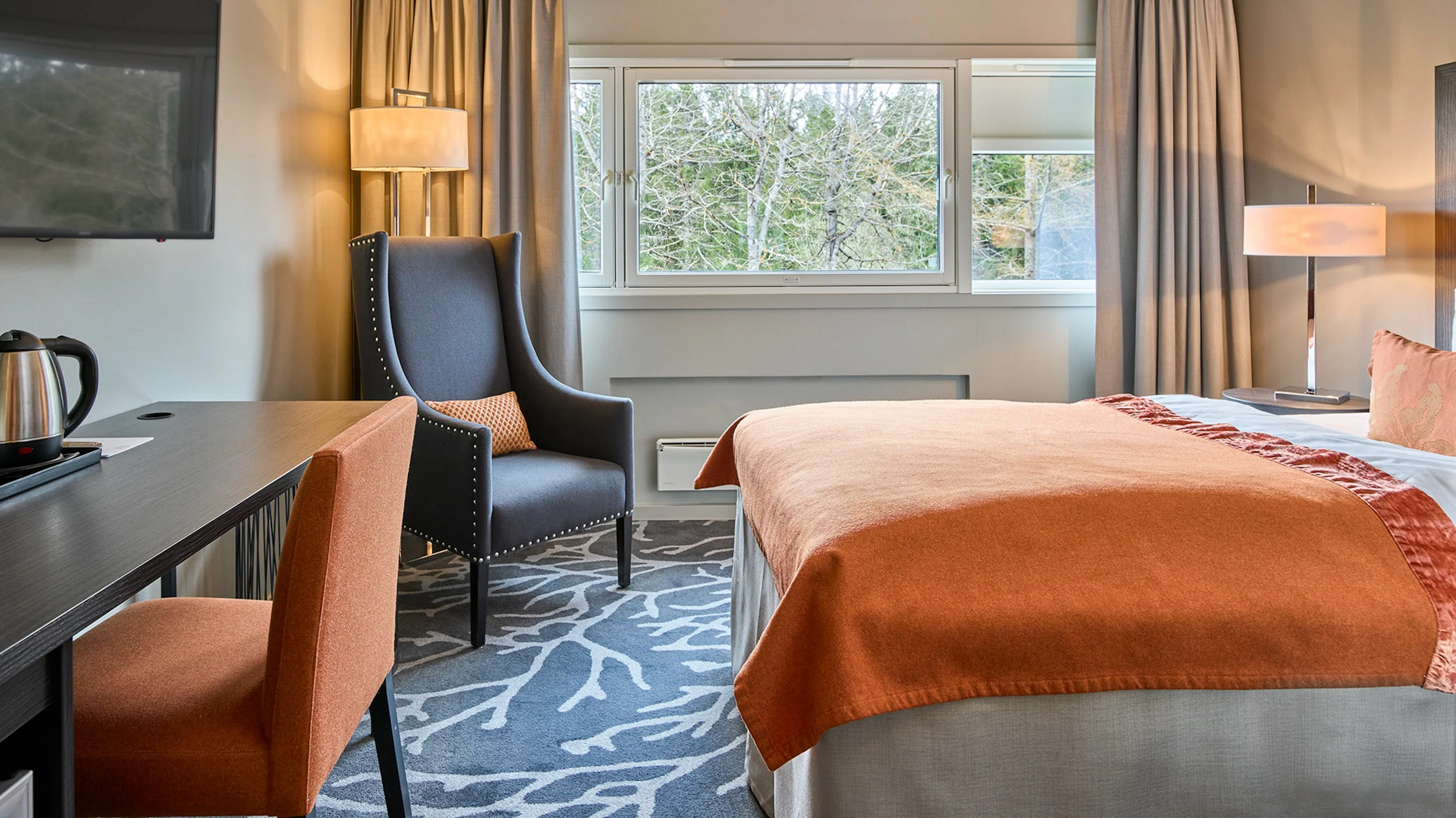 Economy double room
