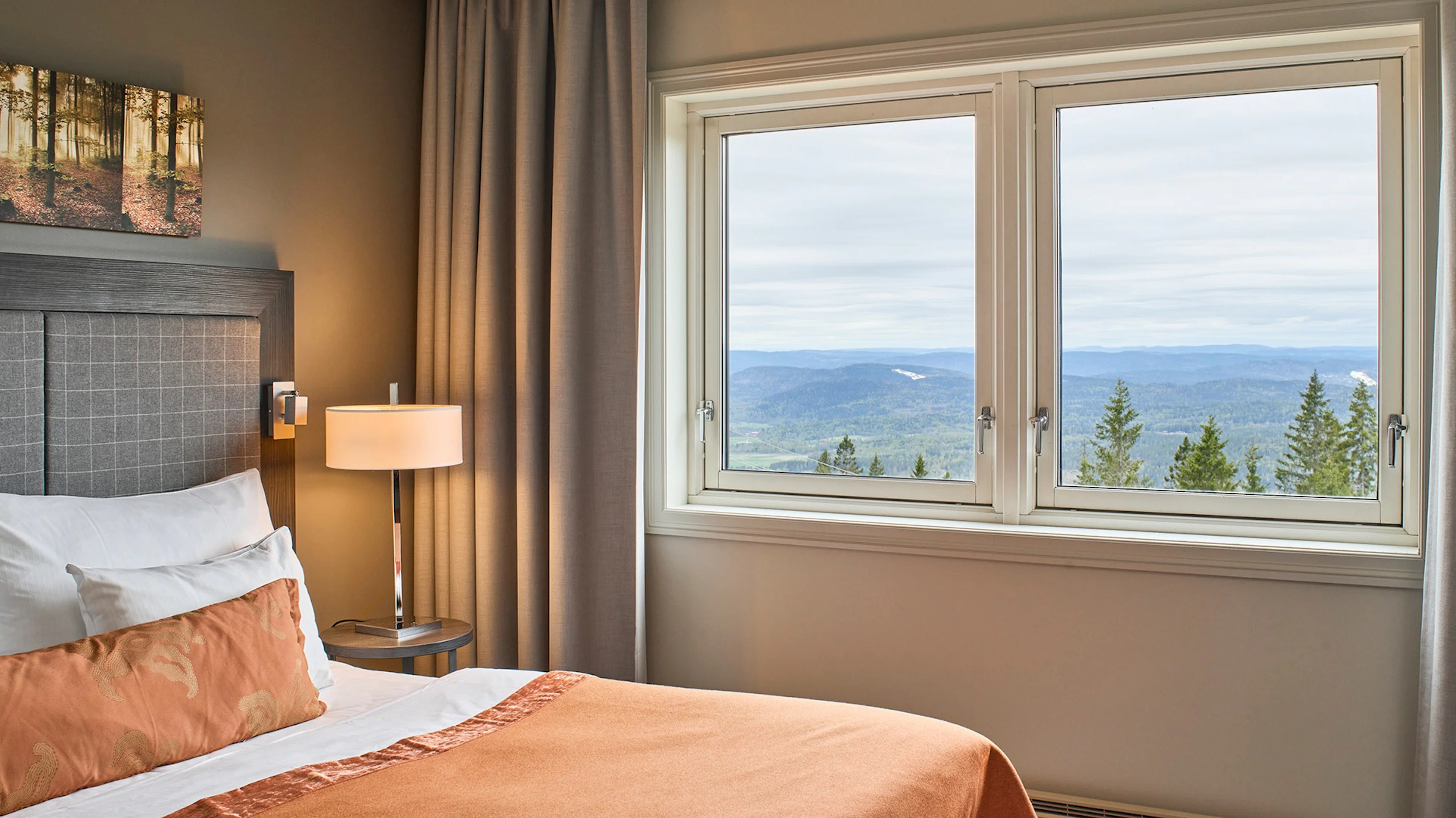 Superior double room with a view