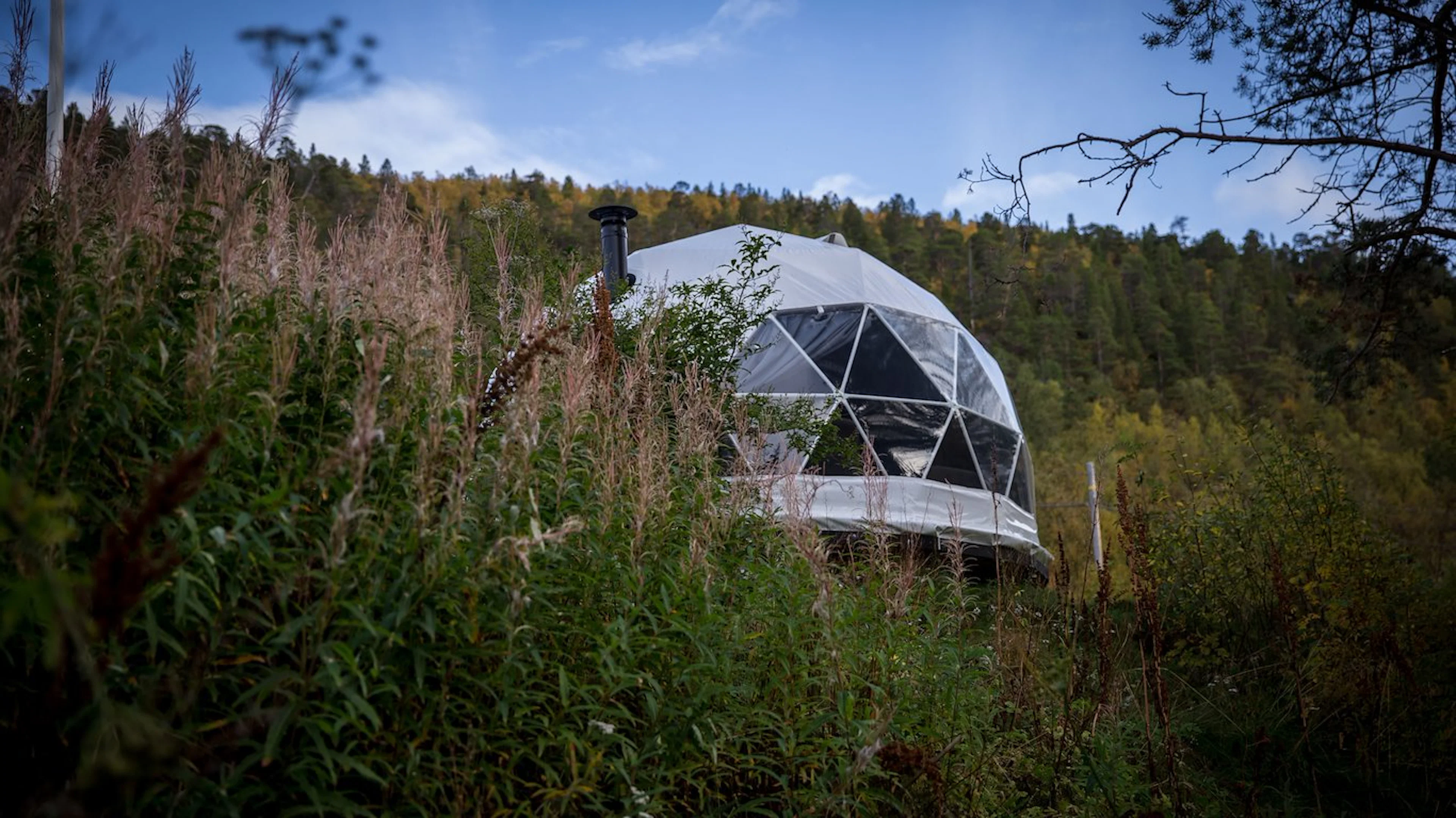 Arctic Dome