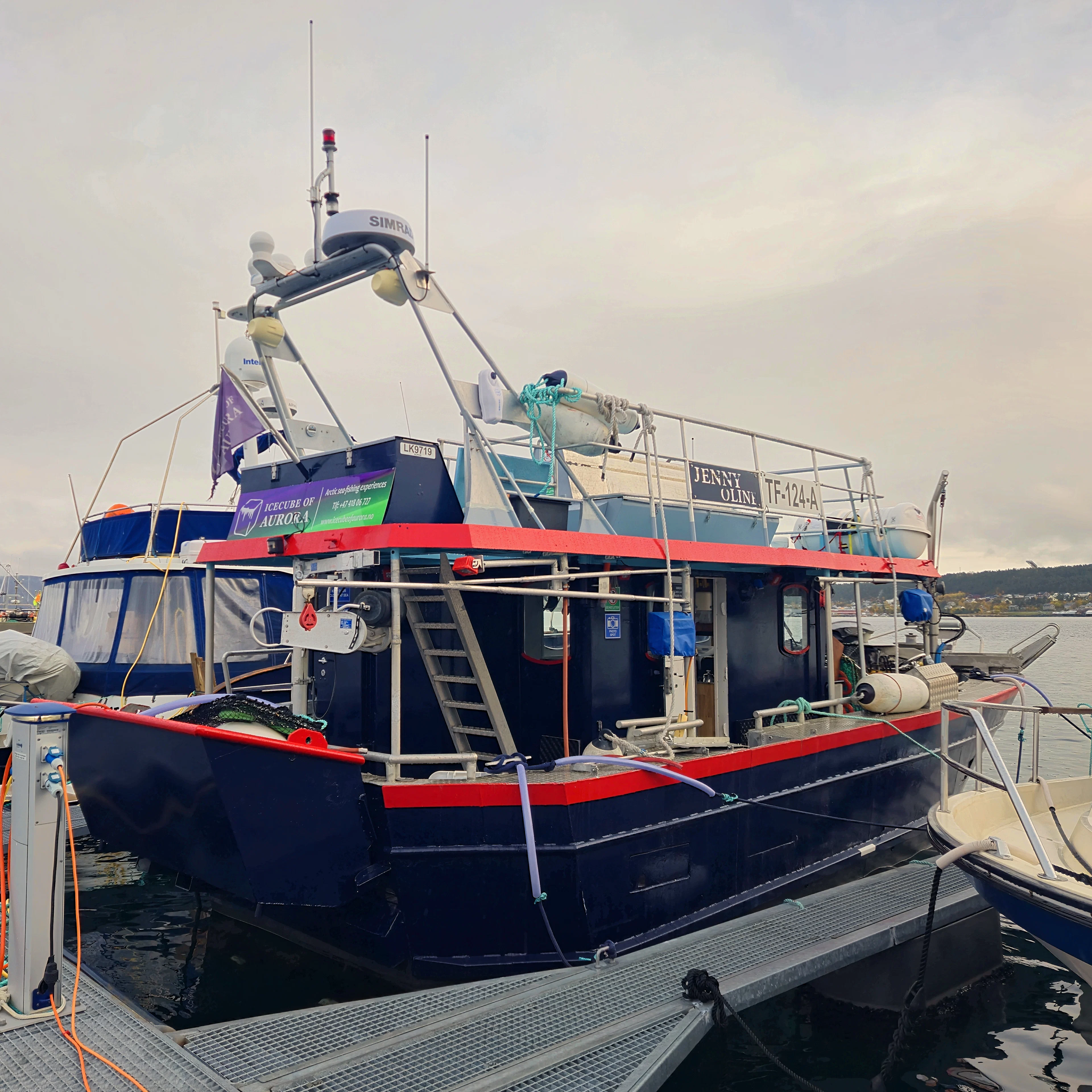 Private Tour: Whale Watching Tour
