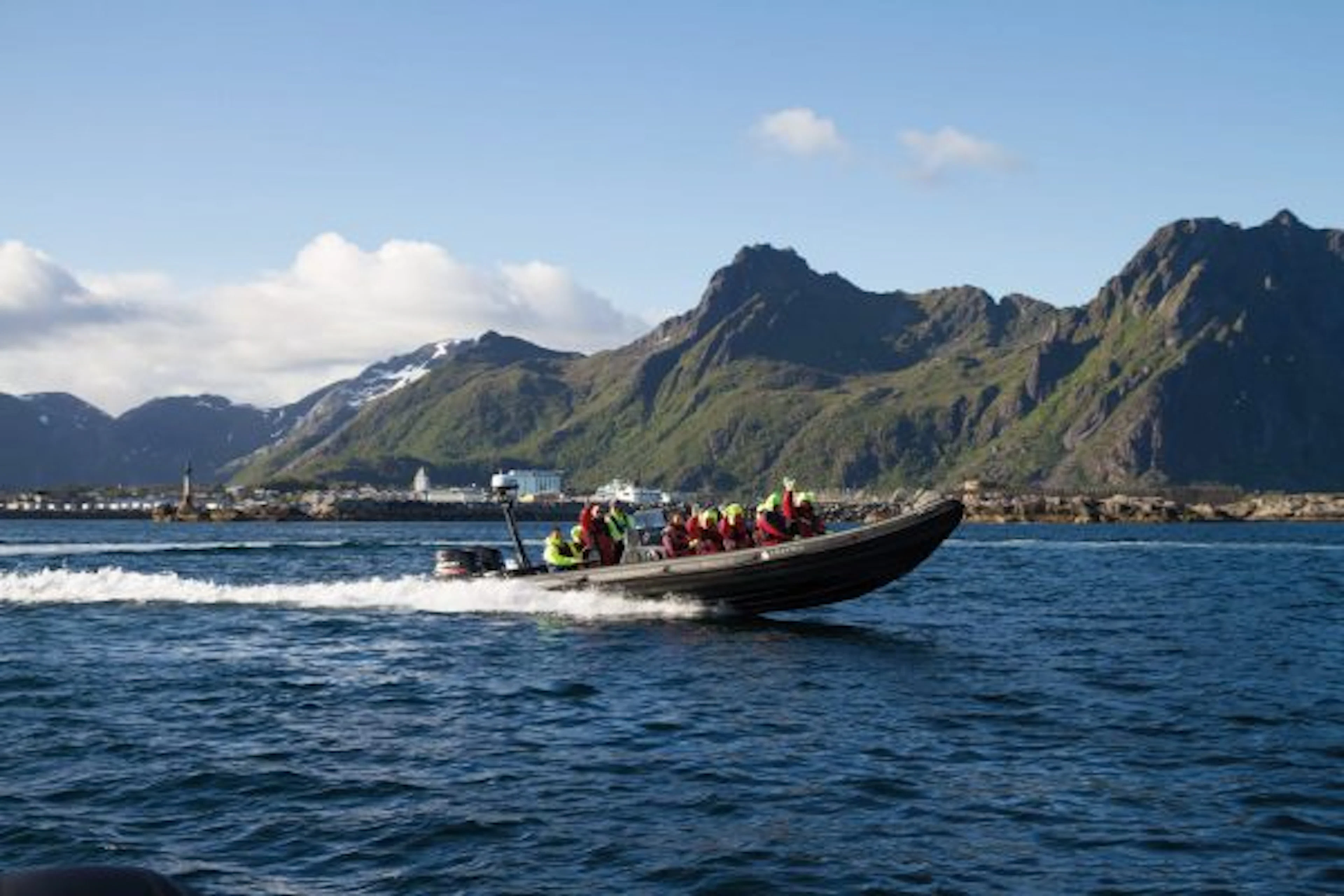 Sommer RIB Seeadler Safari Trollfjord Kreuzfahrt