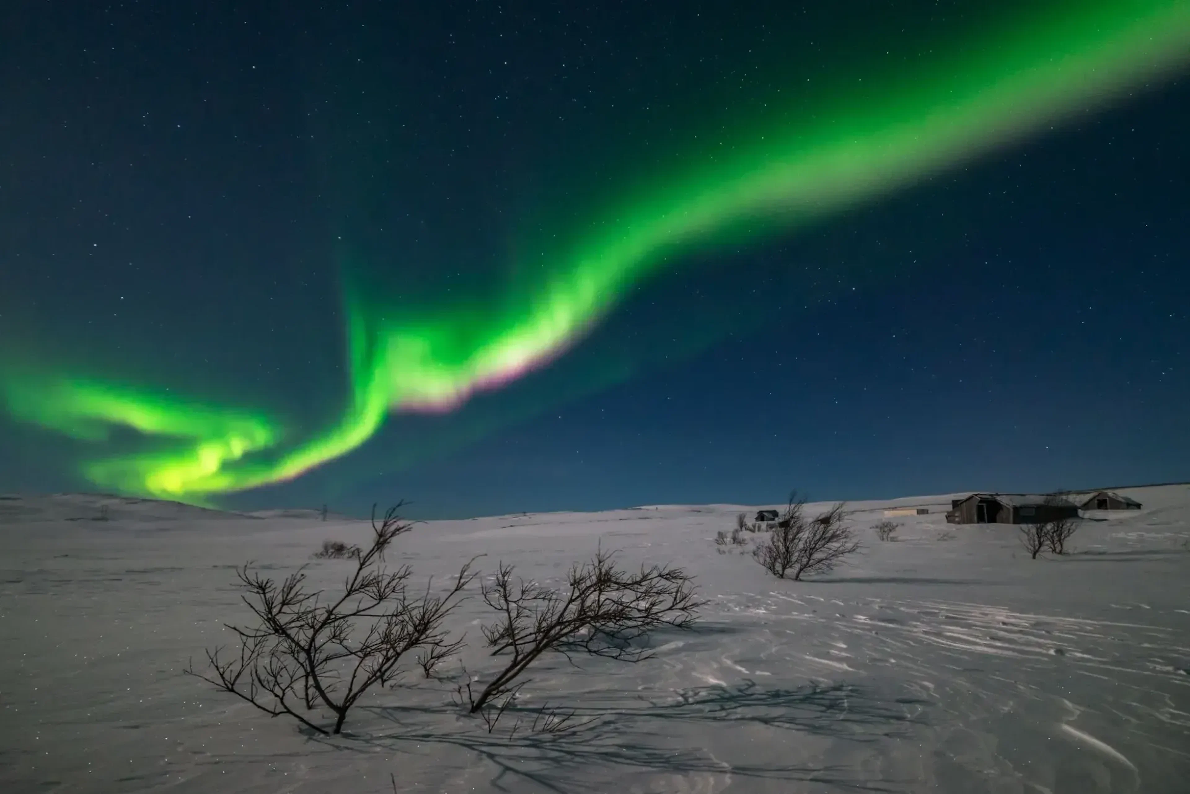 Nordlicht-Abenteuer in Alta