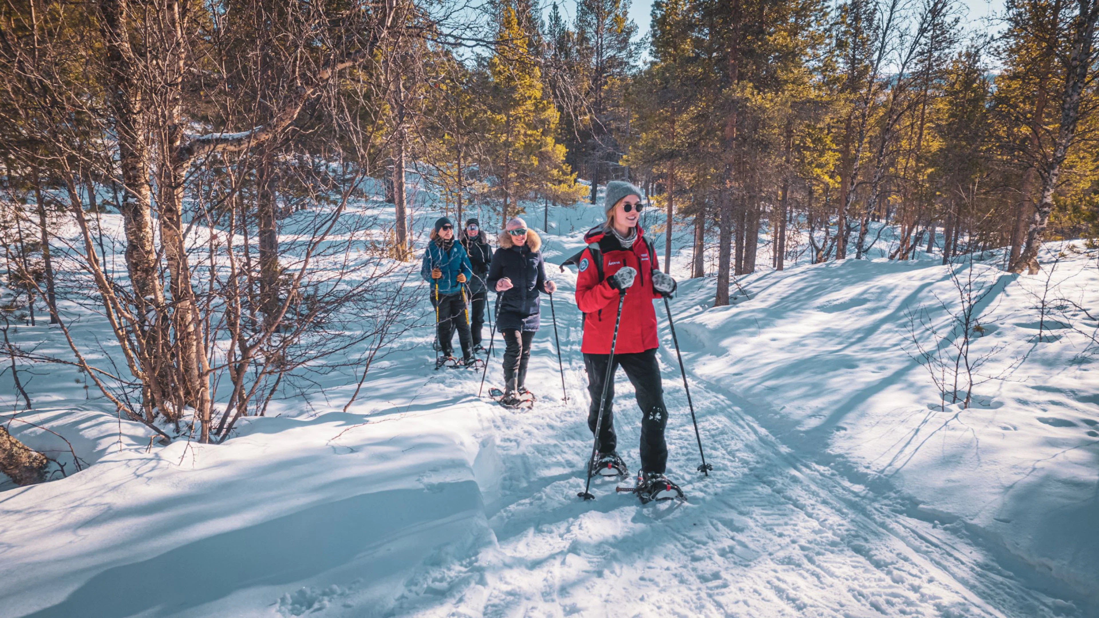 Schneeschuhwanderung zum bezaubernden gefrorenen Wasserfall