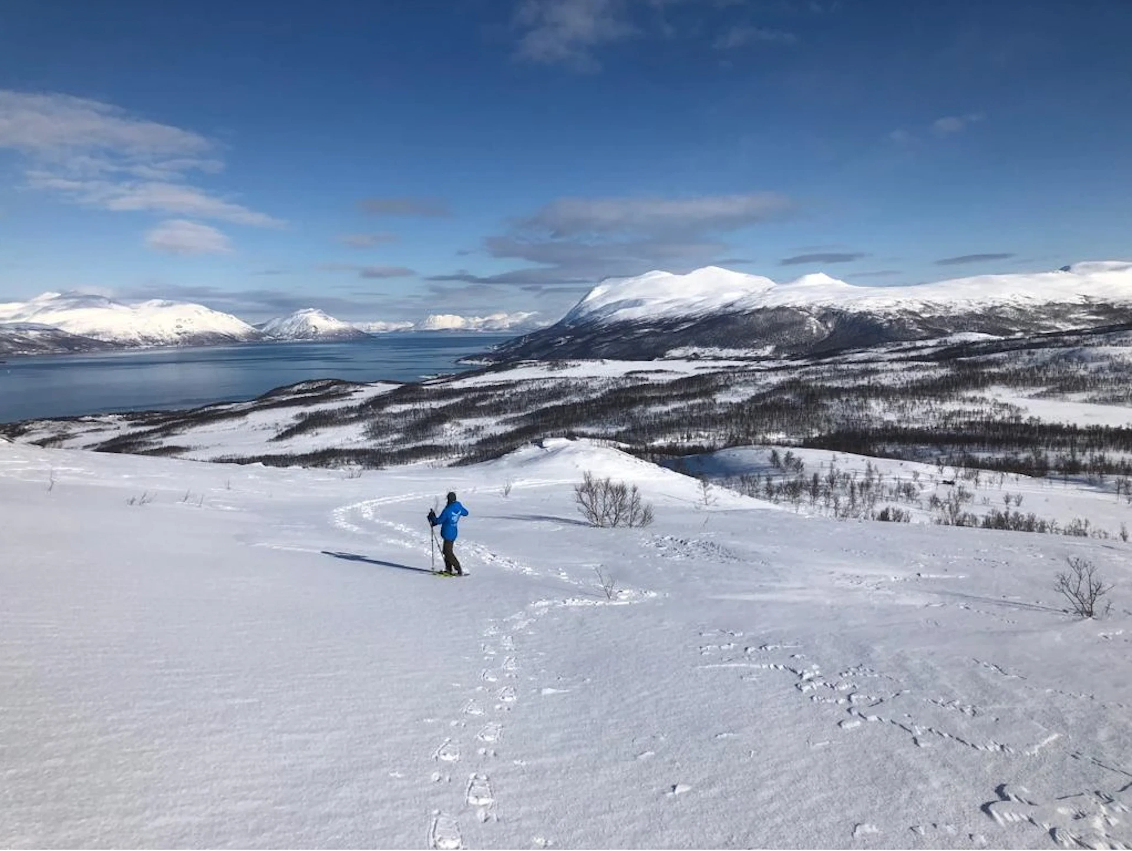 Schneeschuhwandern mit Rentieren