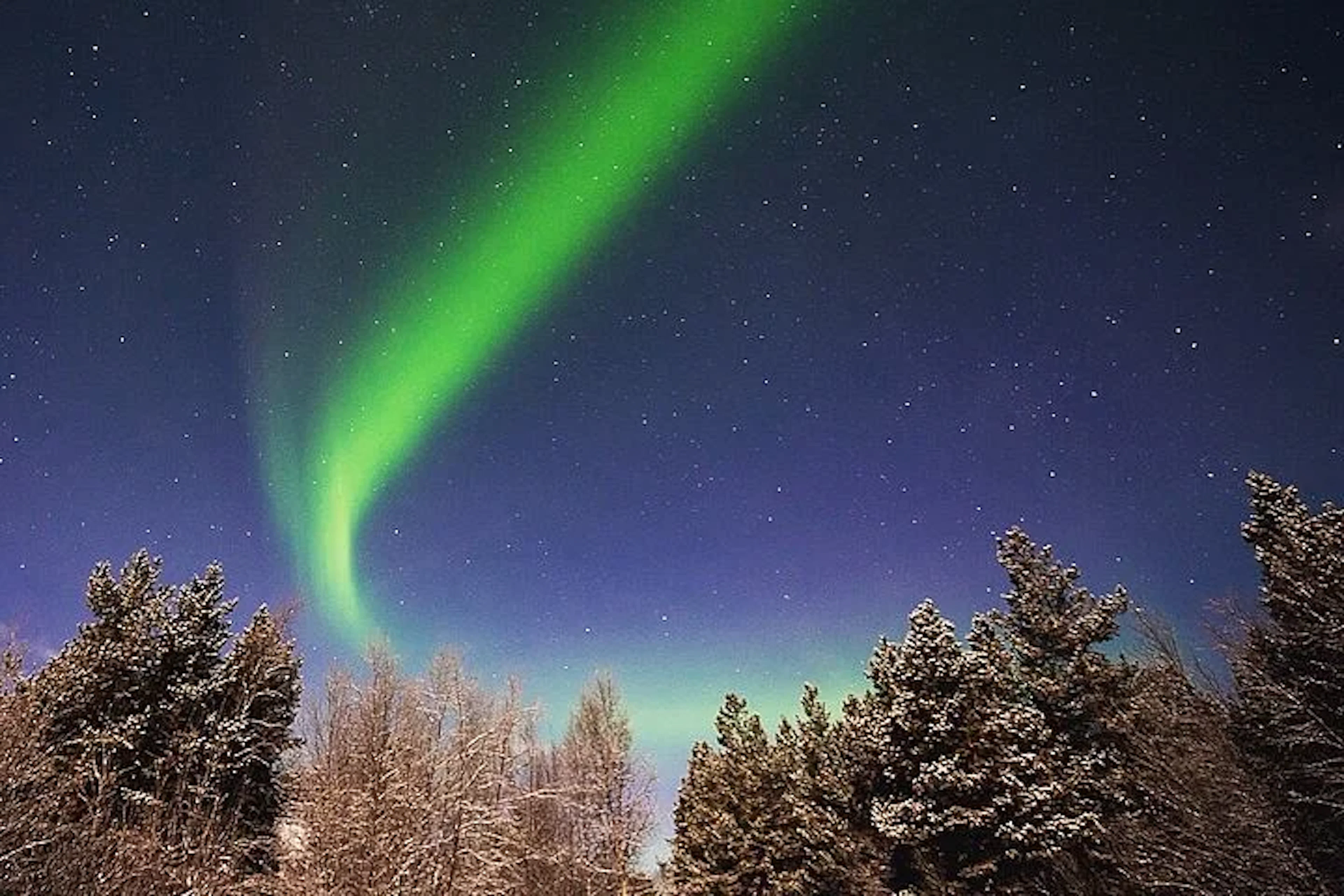 Tromsø Norwegen - Private Nordlichttour mit örtlichem Reiseleiter