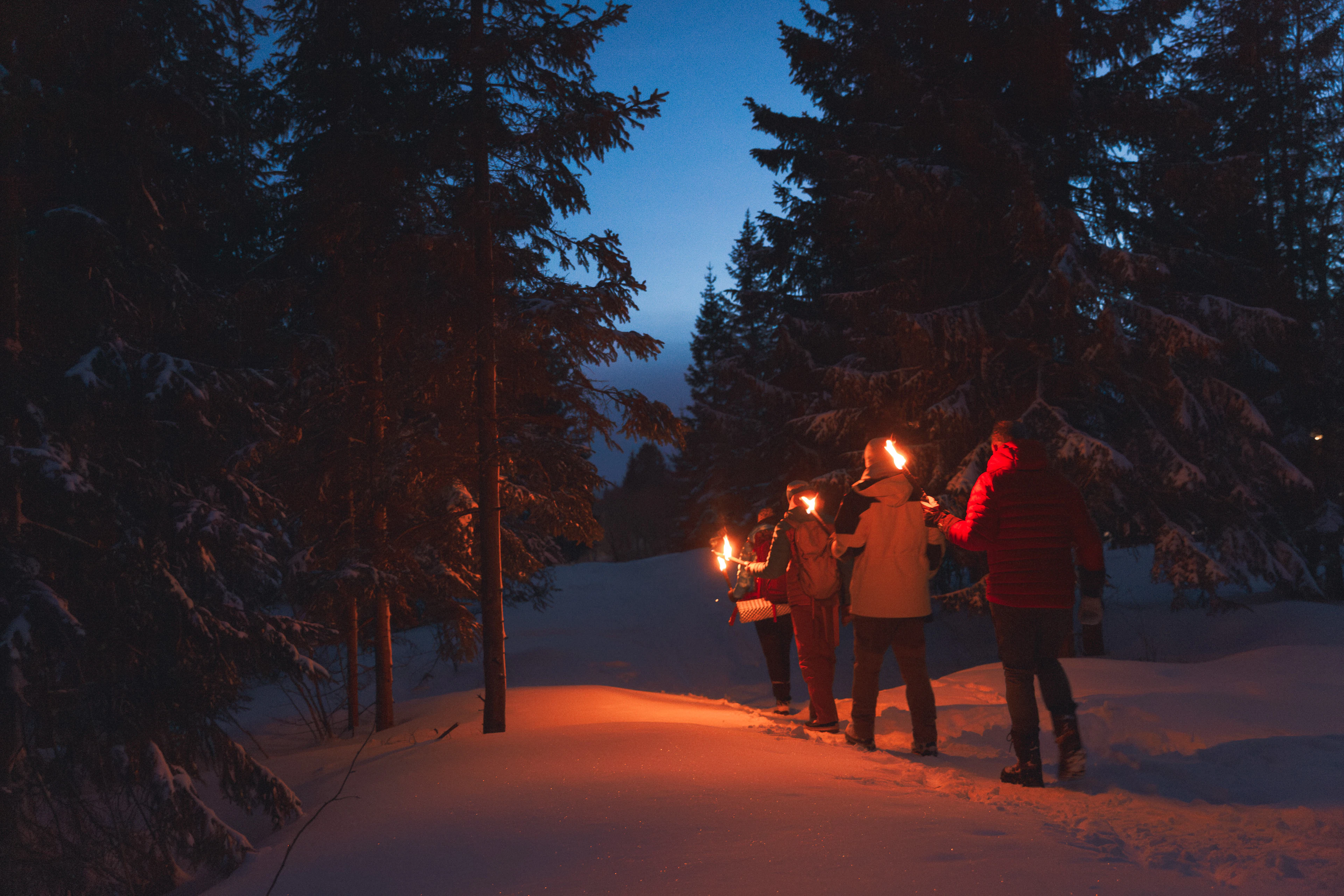 Winterliche Waldwanderung & Lagerfeuer bei Fackelschein