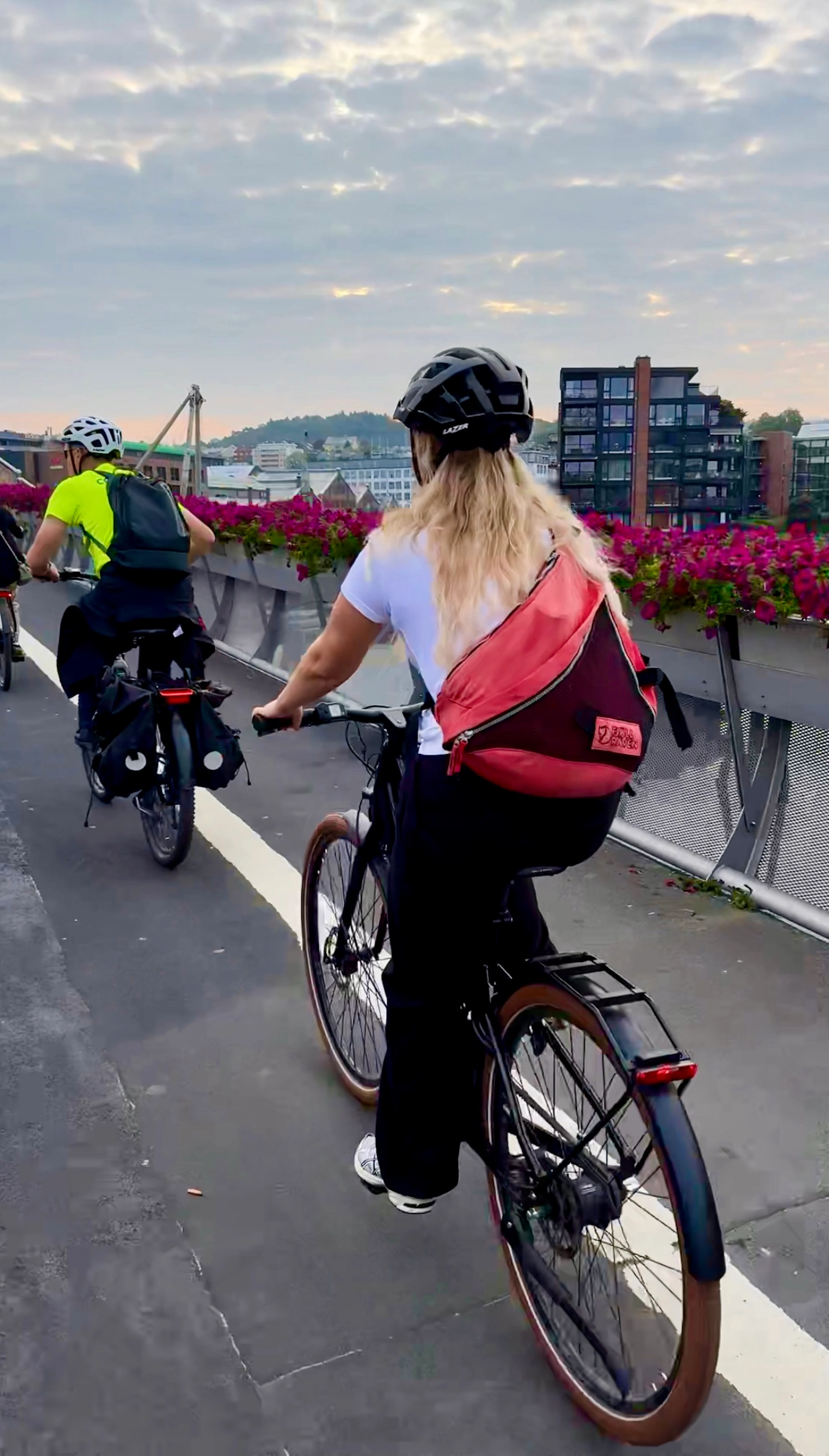 Entdecken Sie Trondheim - Panoramatour mit dem E-Bike