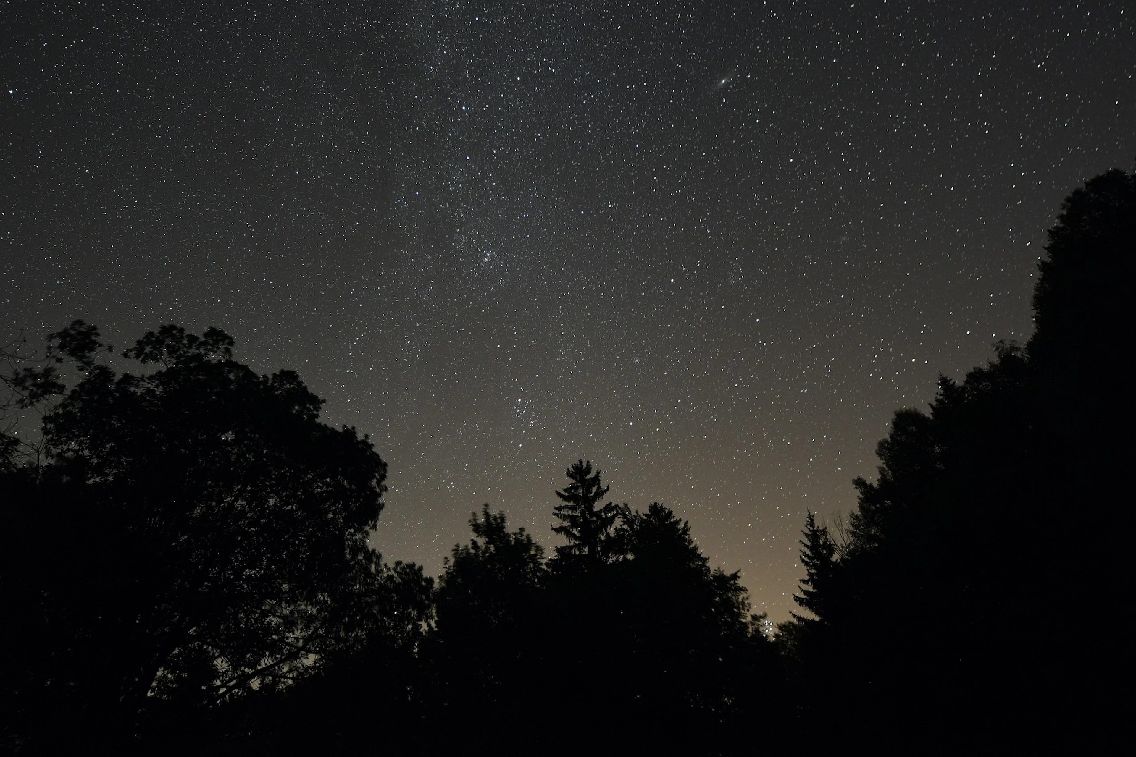 Sterne gucken: Eine magische Nacht unter dem Sternenhimmel