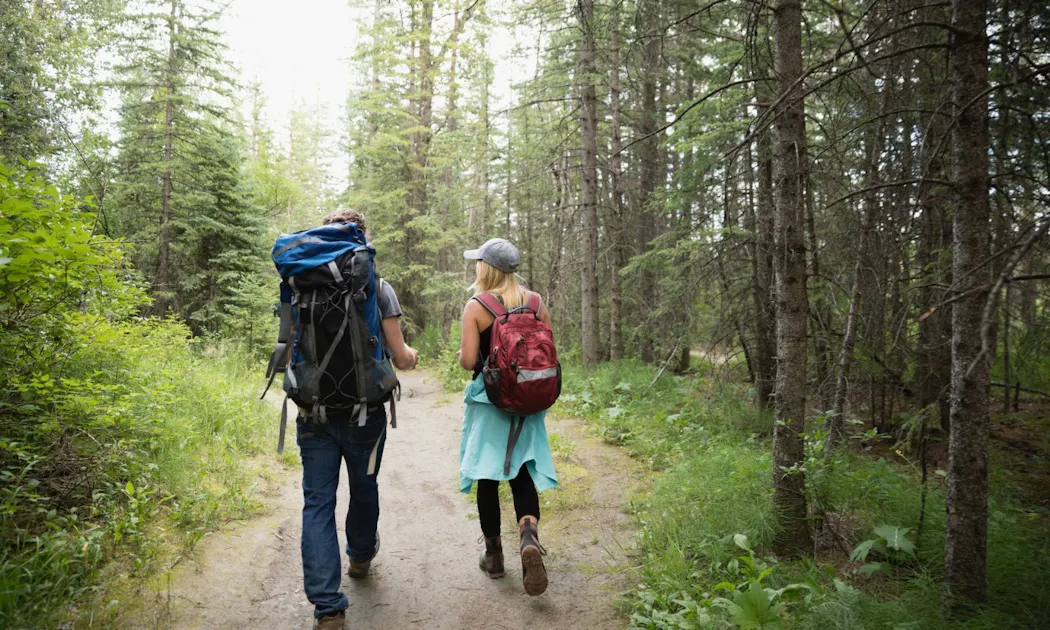 In the historical footsteps of pilgrims