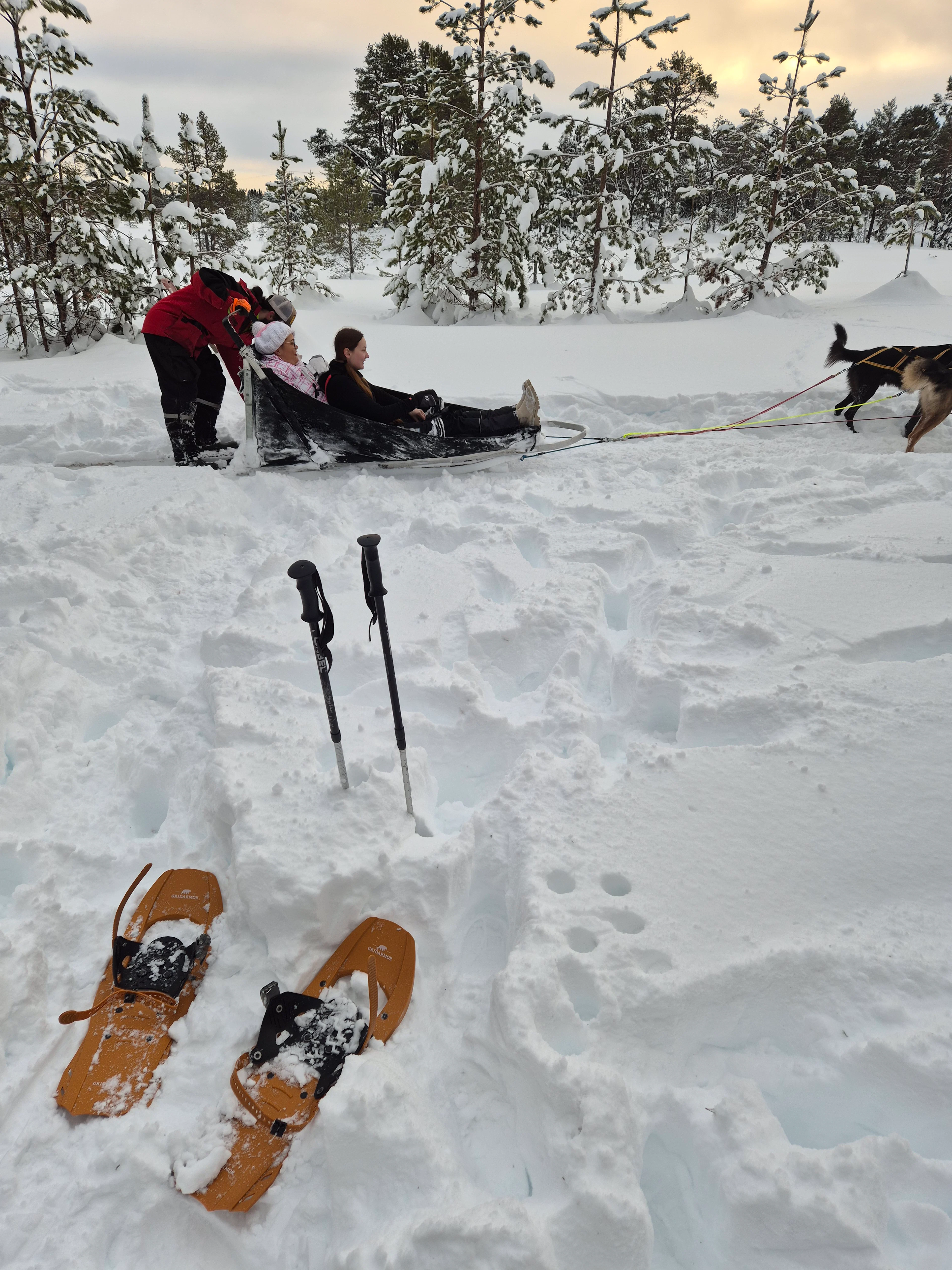 Schneeschuhwandern und Lagerfeuerkaffee in Bymarka - 3 Stunden