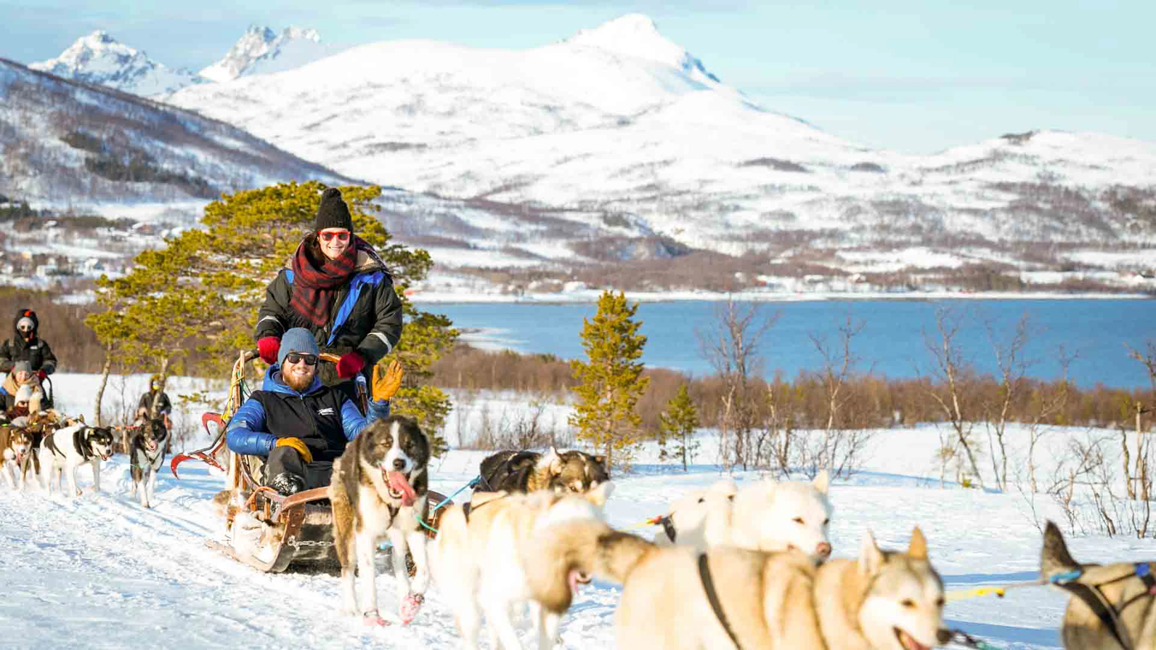 Selbstfahrer-Hundeschlittenfahrt in Tromso