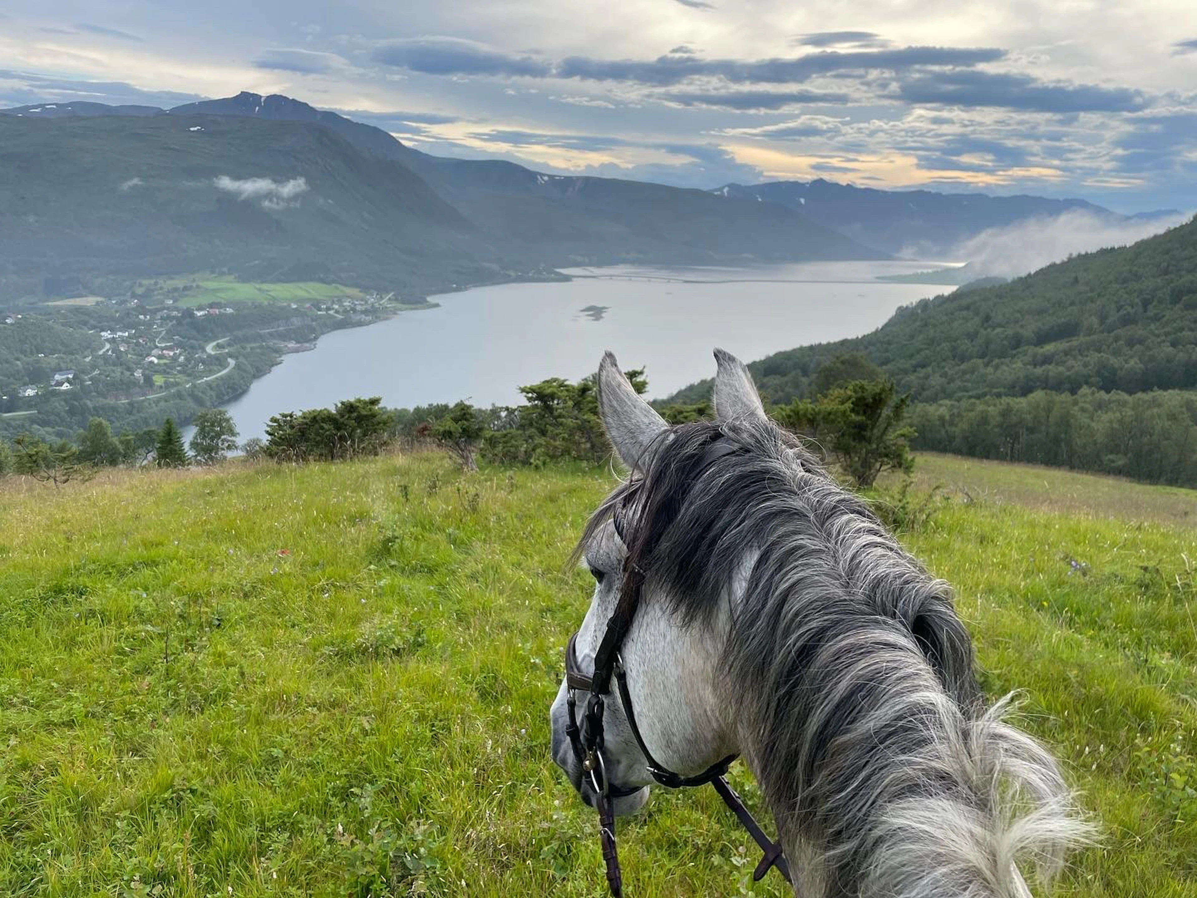 Reiten in Harstad