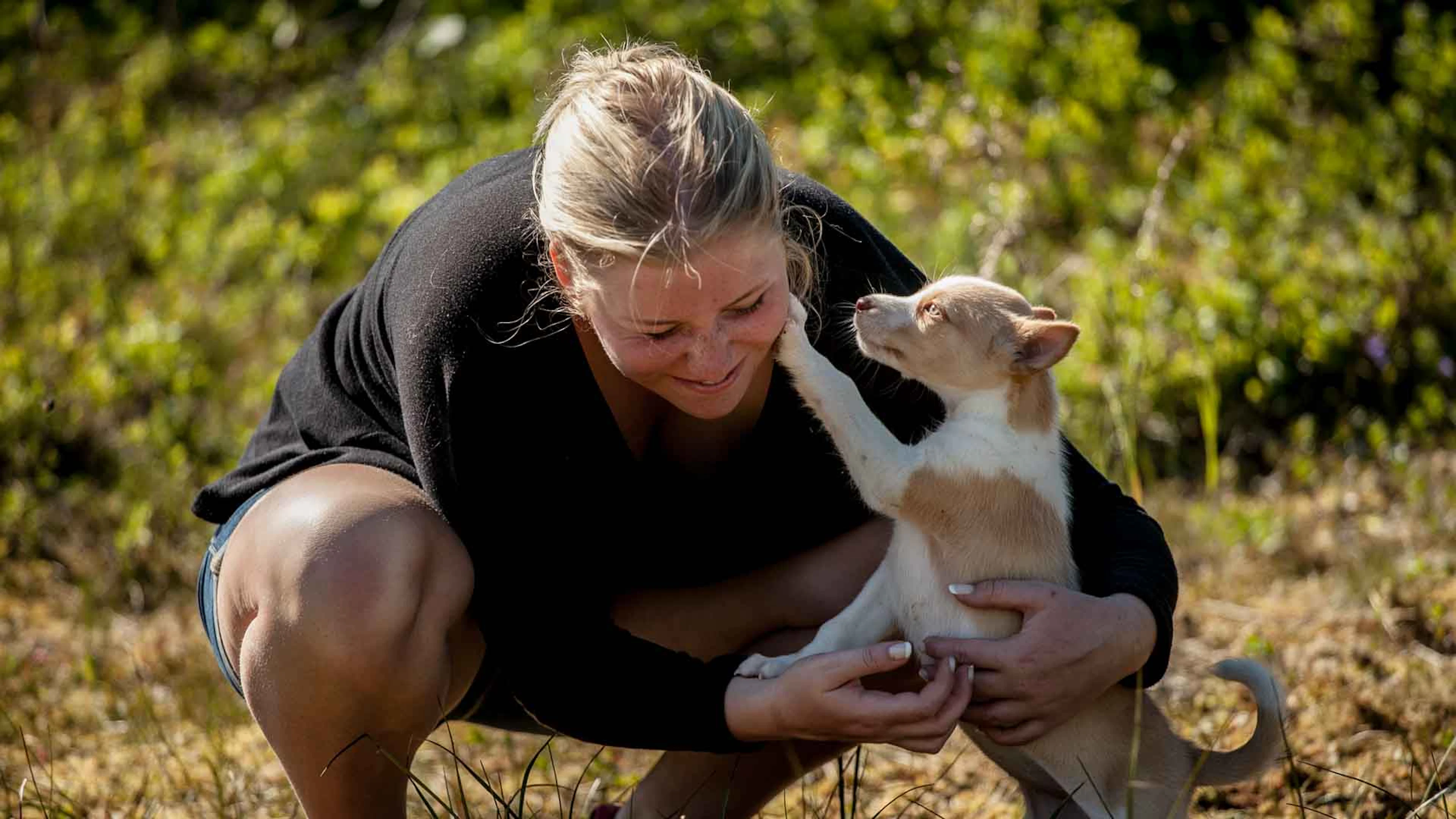 Welpenerlebnis mit huskys in Tromsø