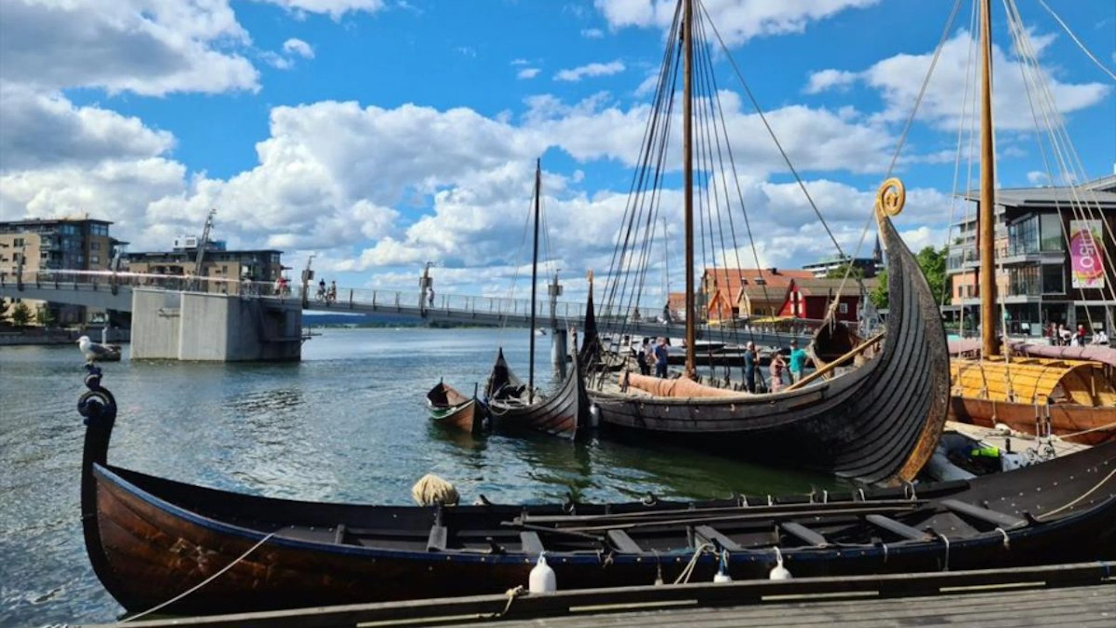 Spaziergang mit einem Wikinger: Geführte Tour in Tønsberg