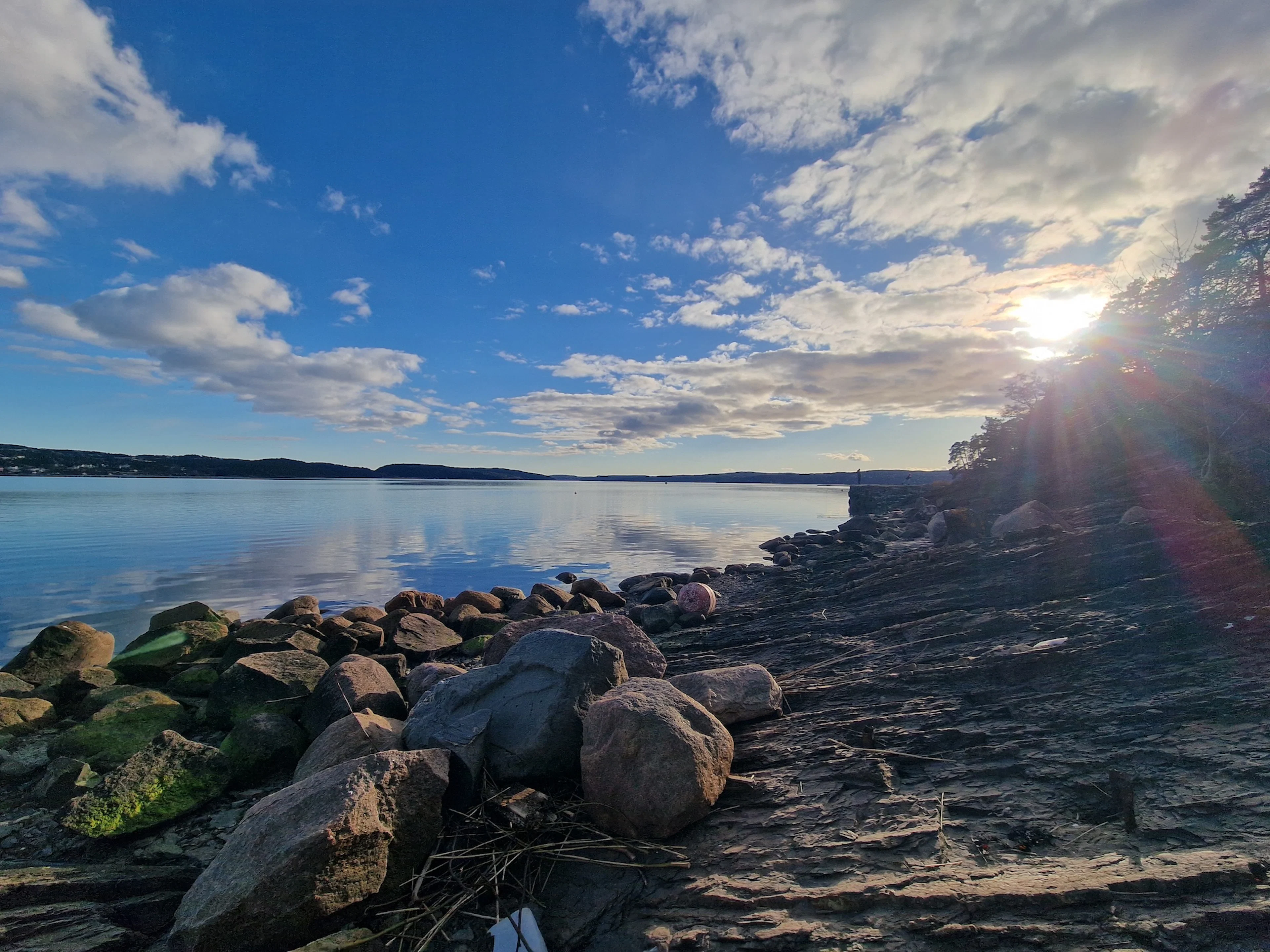 OsloFjord: Malmøya beautiful Island Guided Hike-Waffle&Drink