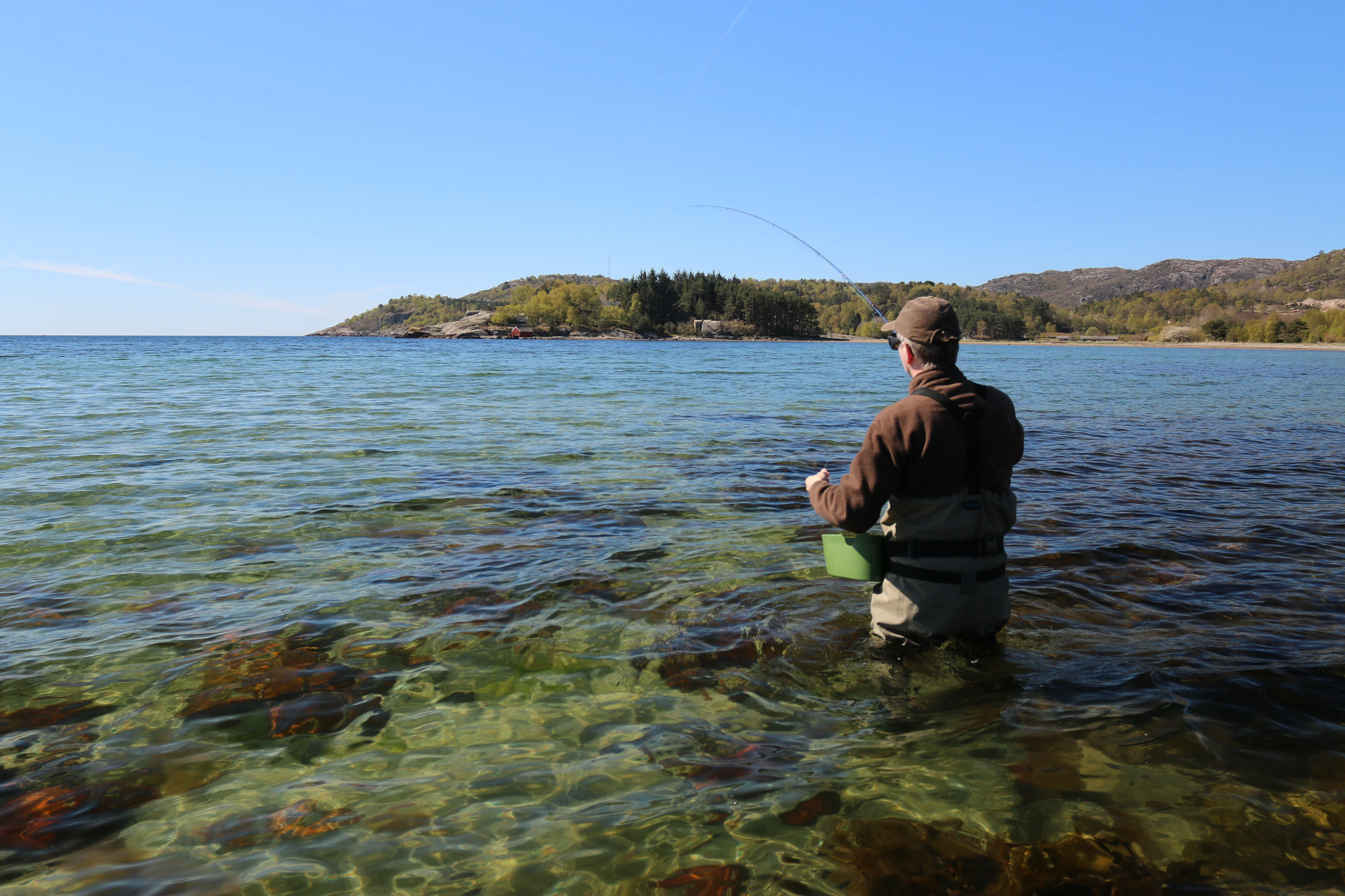 Abenteuer Meerforellenfischen in Südnorwegen