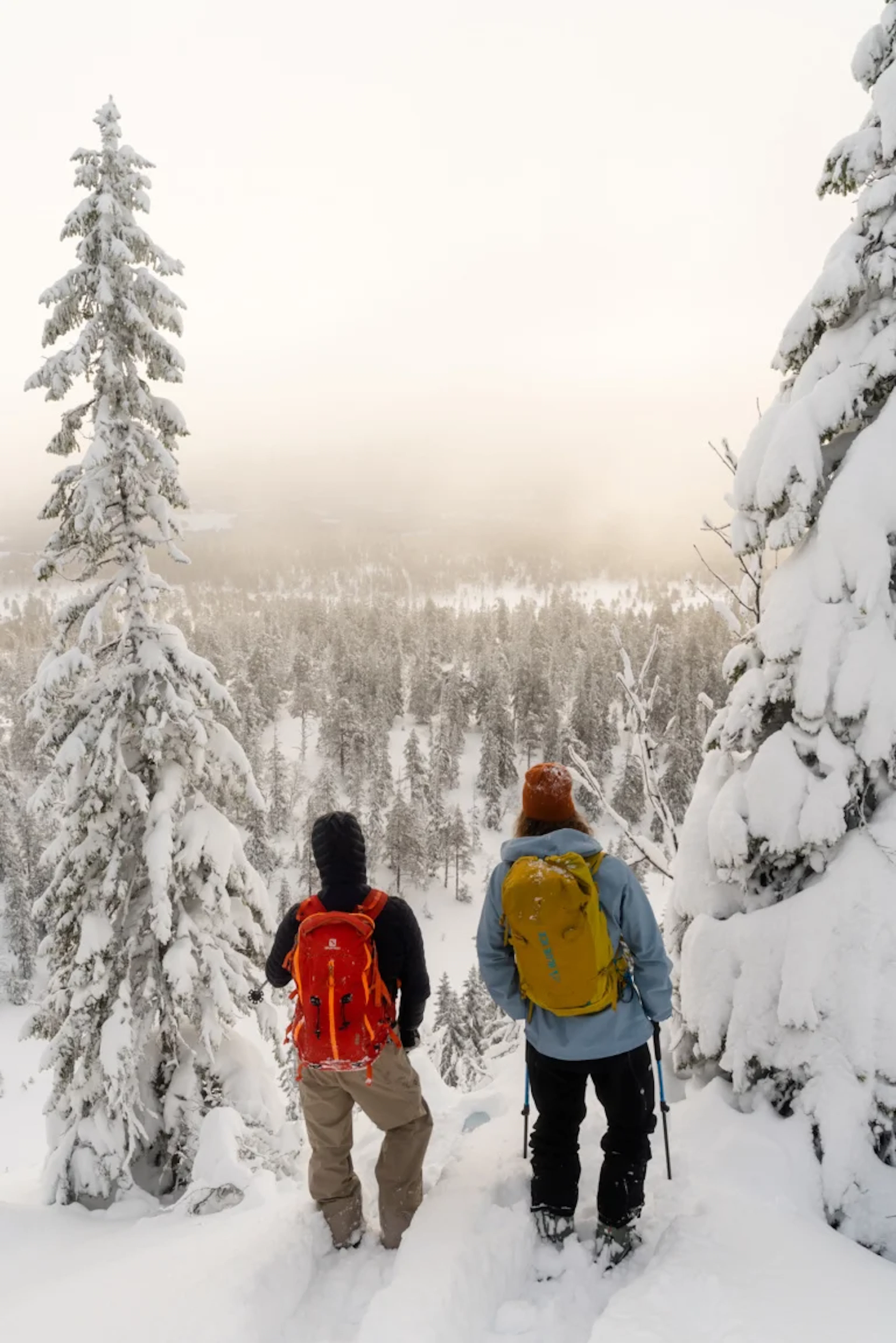 Skiverleih - Komplettes Skipaket im Vassfjellet