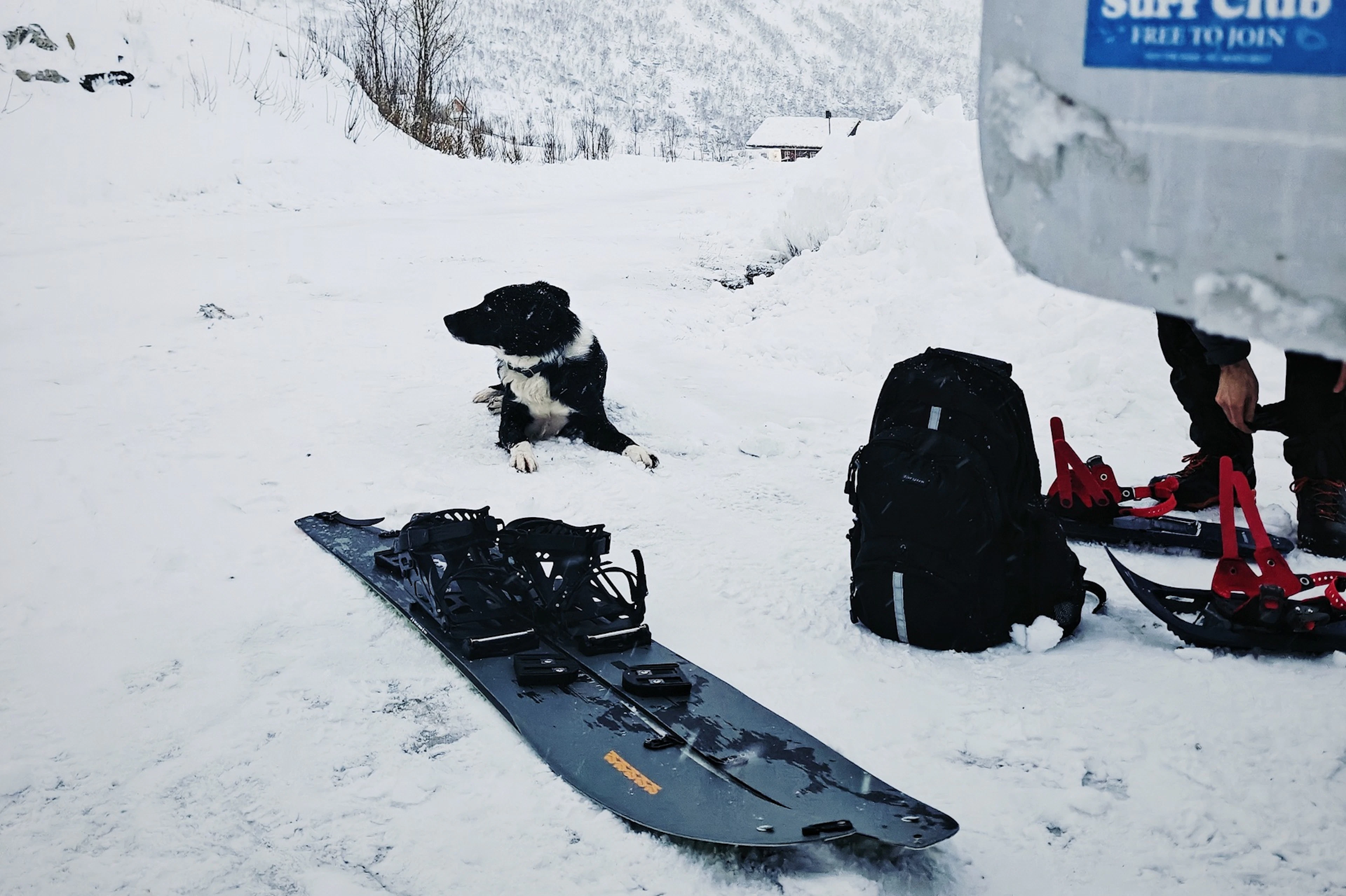 Paquete de alquiler de splitboard en Lofoten