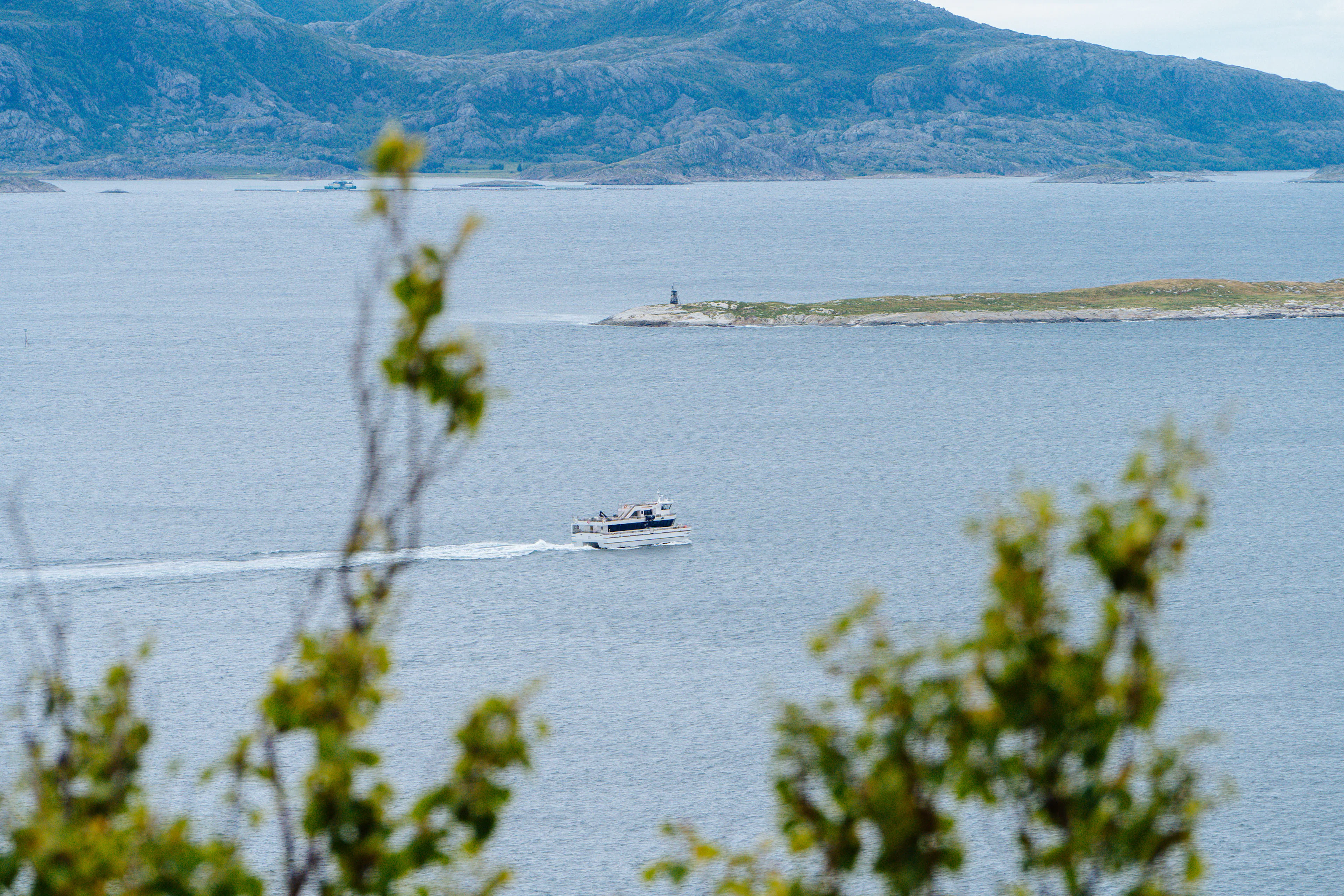 Beiarfjord & Saltstraumen Kreuzfahrt ab Bodø