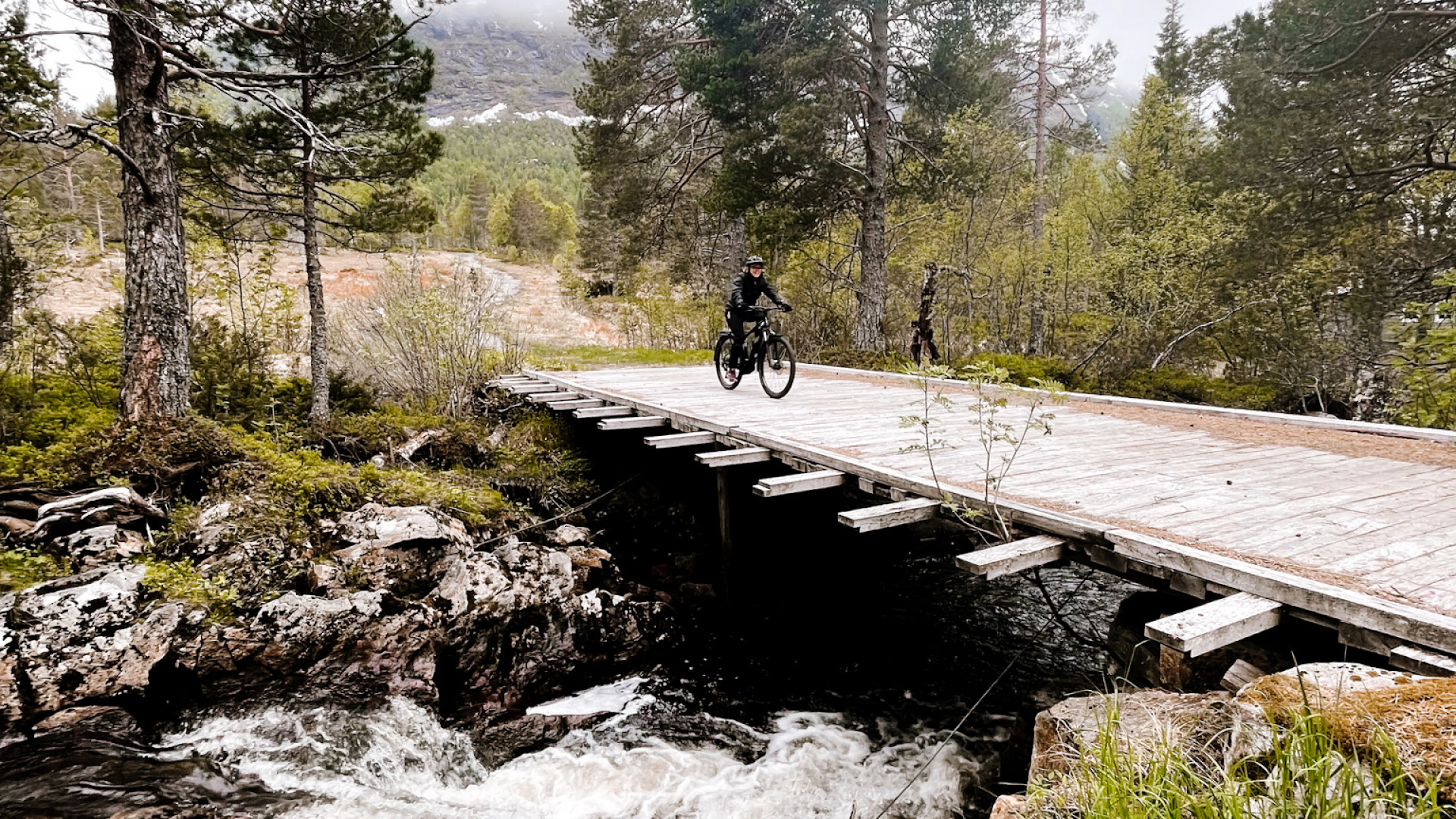 E-Bike Abenteuer in Molde: Erkunden Sie die Stadt und die Aussicht auf die Berge