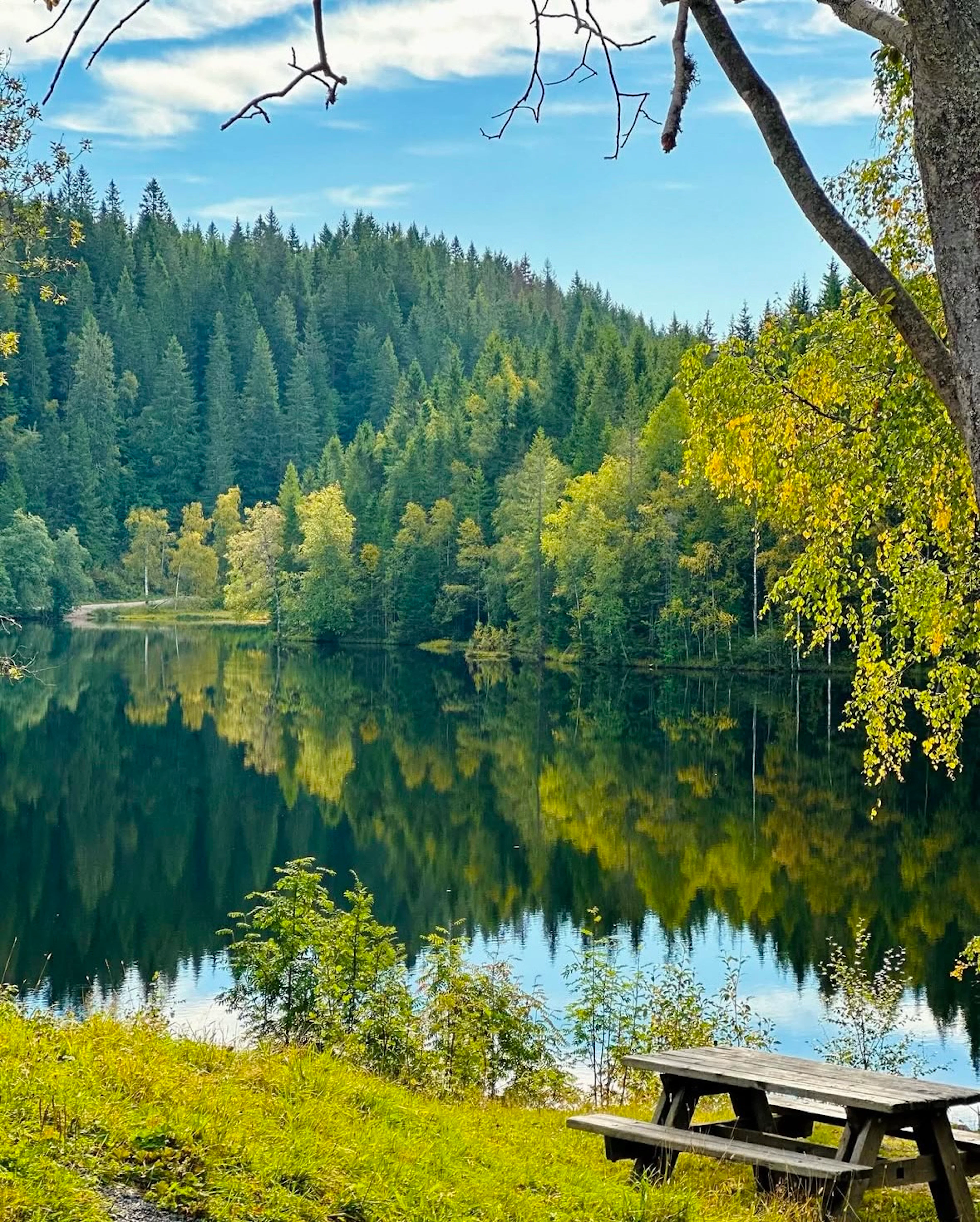 Norwegen wie ein Einheimischer: Waldhütte, frische Gebäckstücke und ein Bad