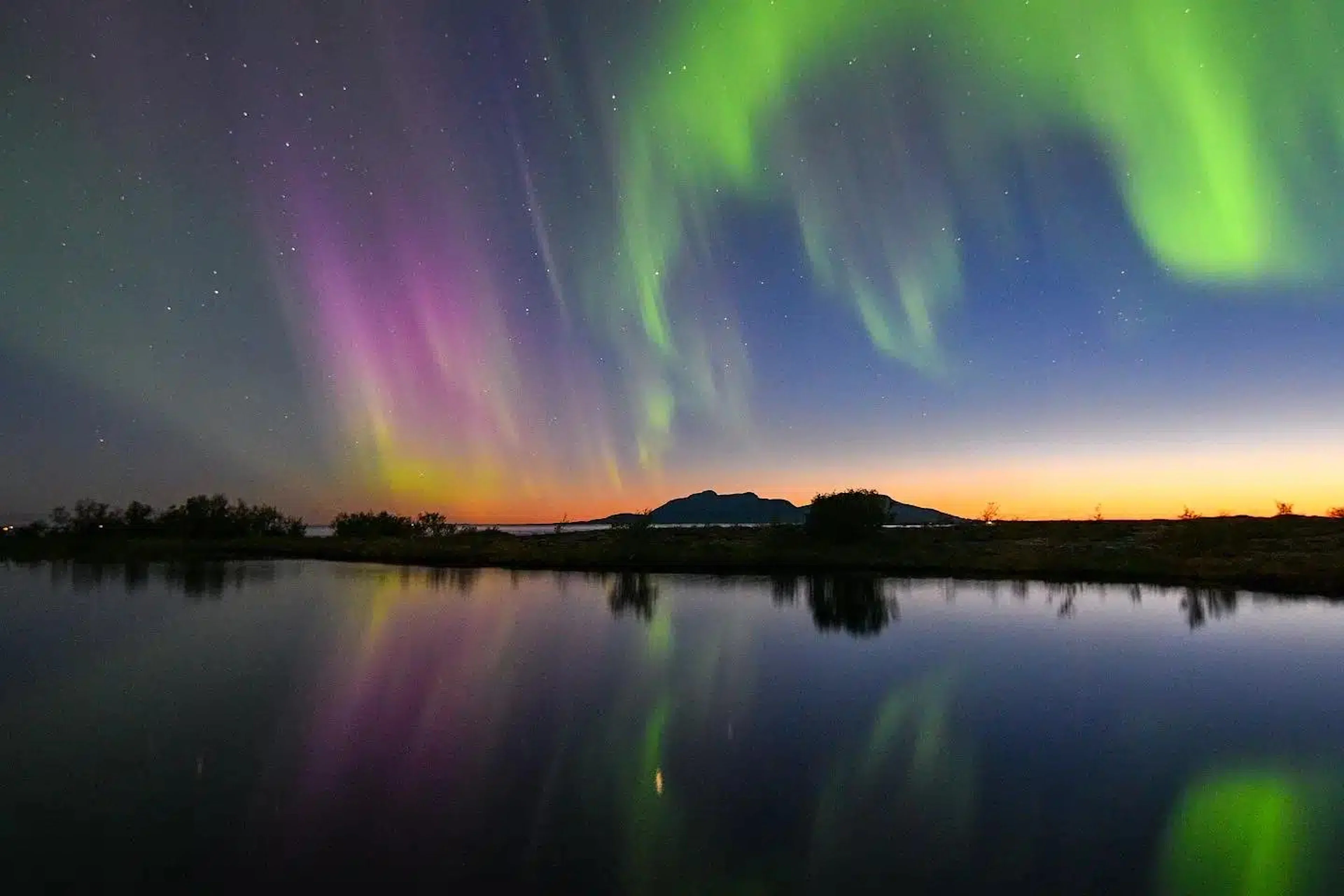 Nordlicht-Tour in Brønnøysund