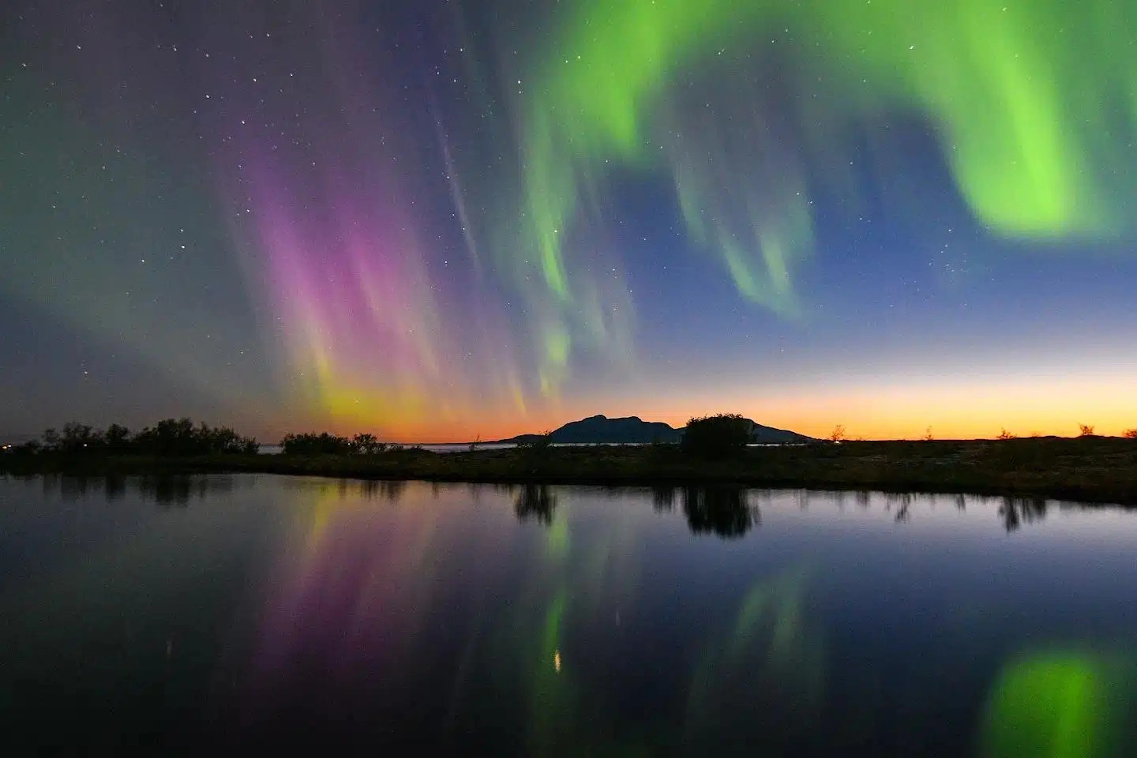 Nordlicht-Tour in Brønnøysund