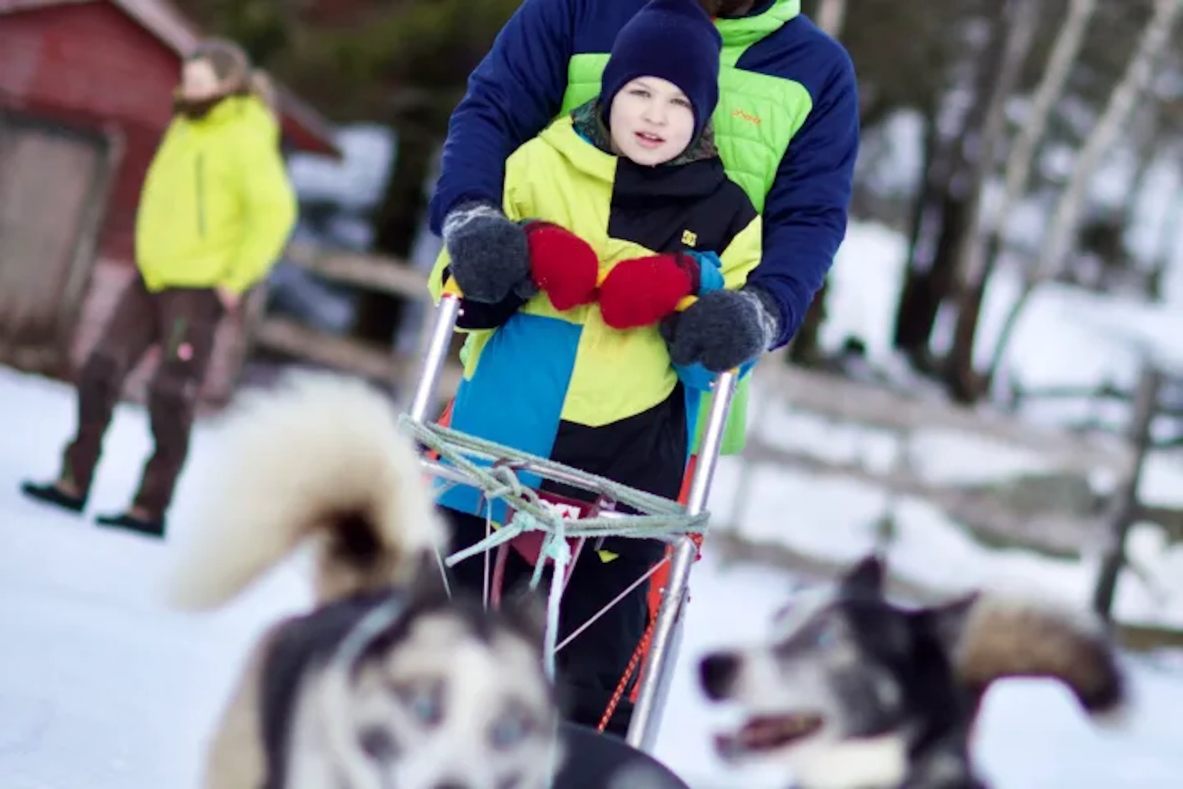 Abenteuer auf der Huskyfarm in Sirdal