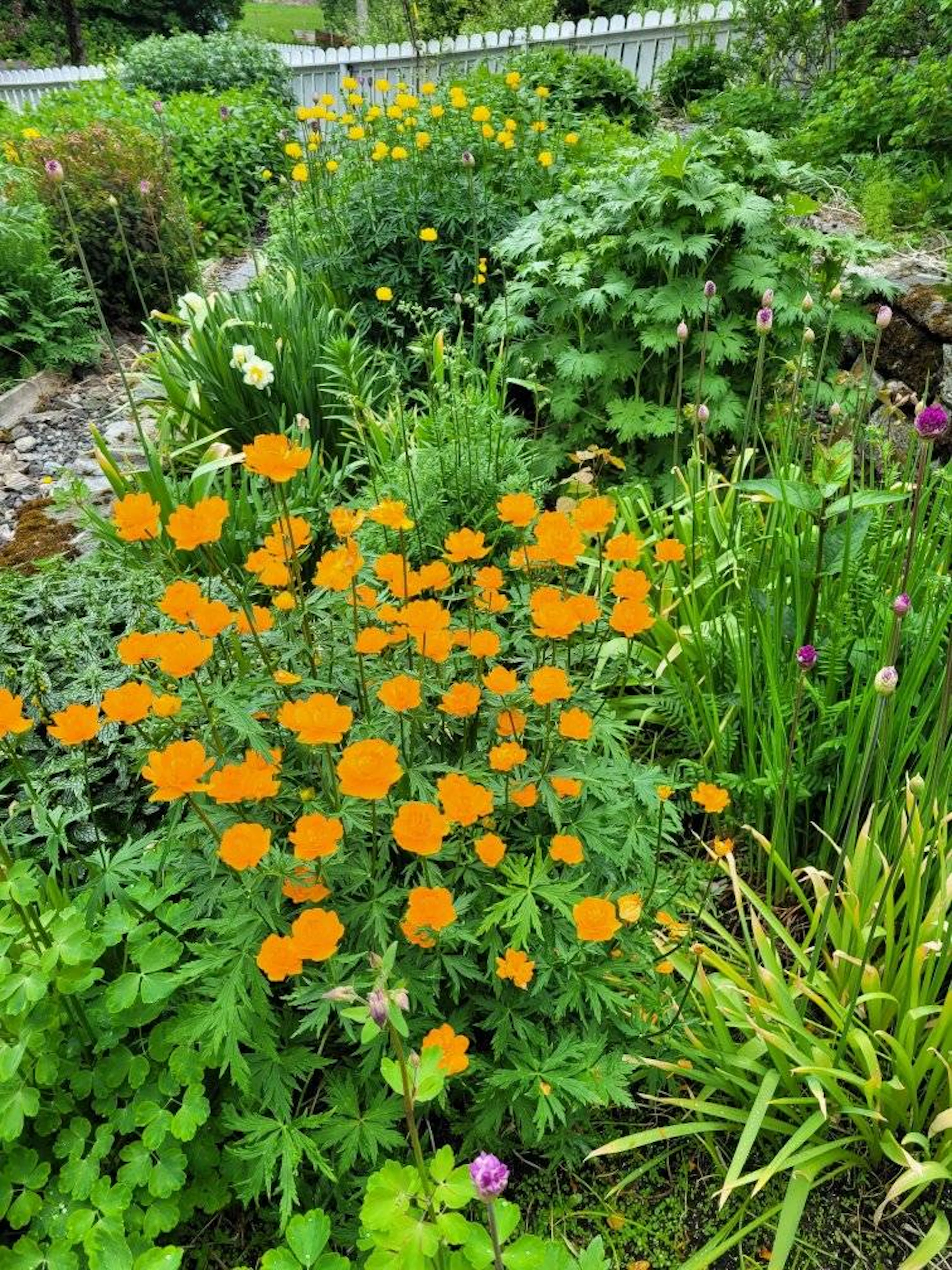 Gartenbesuch in Gjerøyhamn - Eintrittskarte