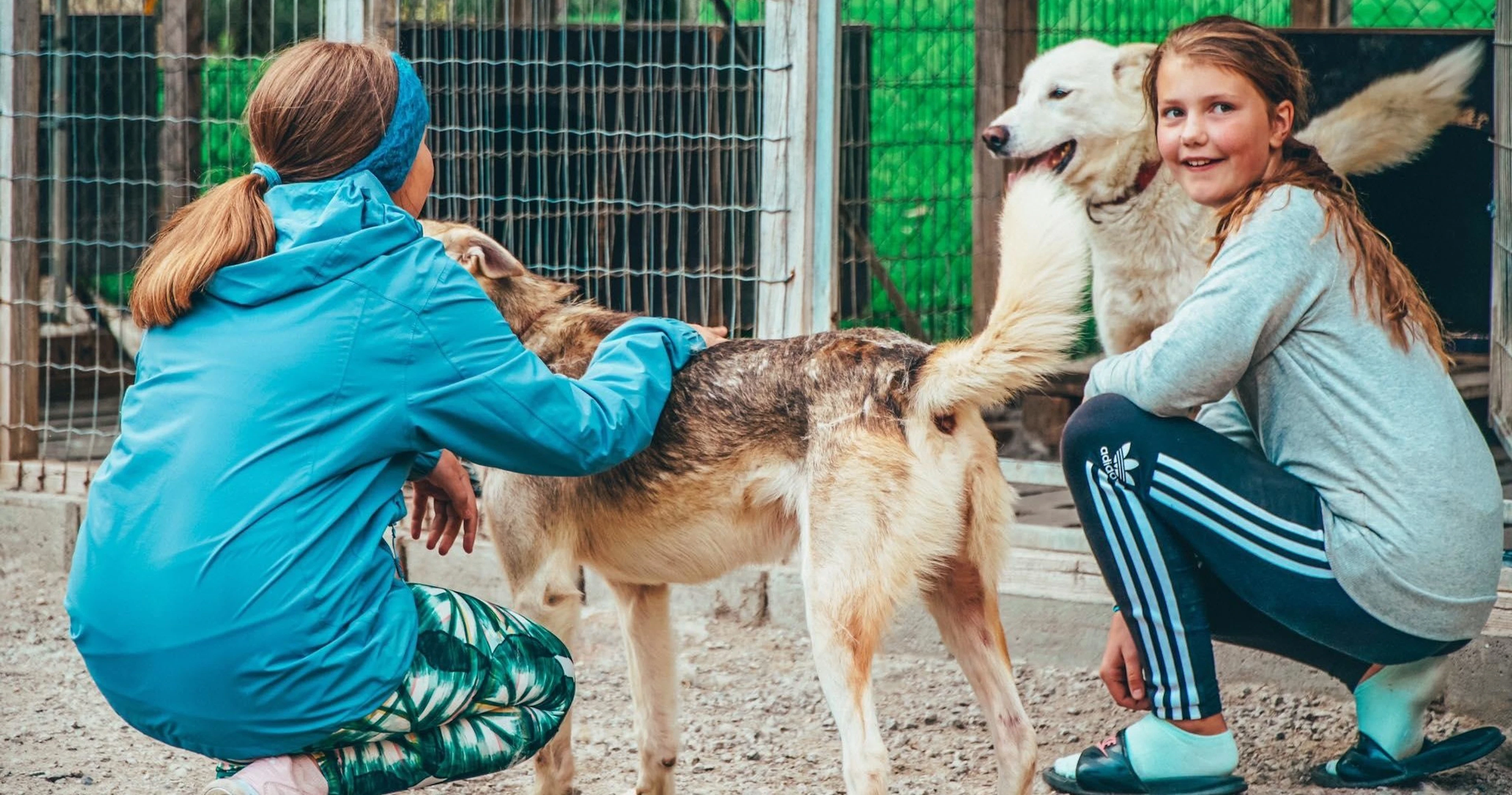 Husky-Besuch auf der Sirdal Huskyfarm