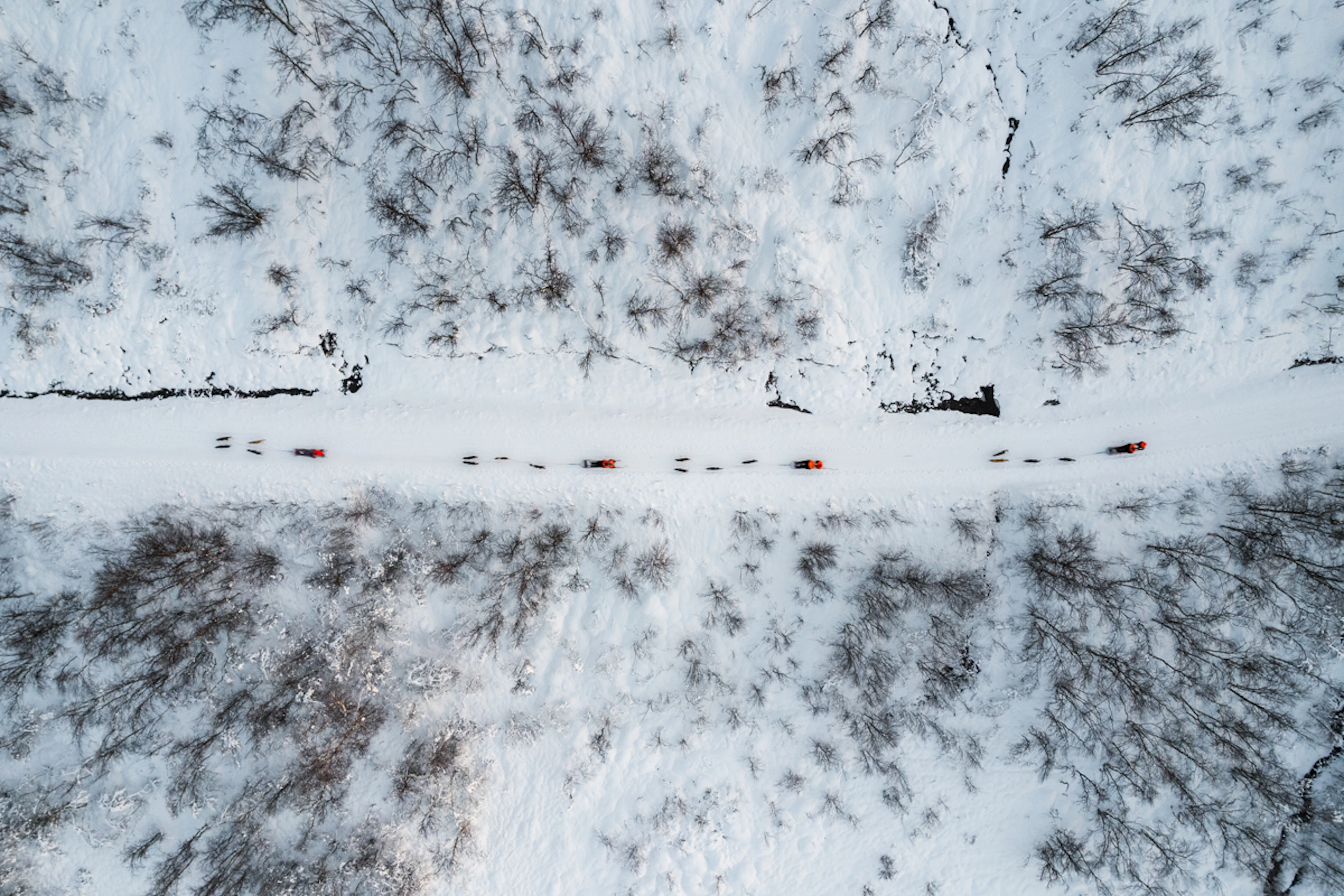 Hundeschlittenabenteuer tagsüber mit Transport von Tromsø