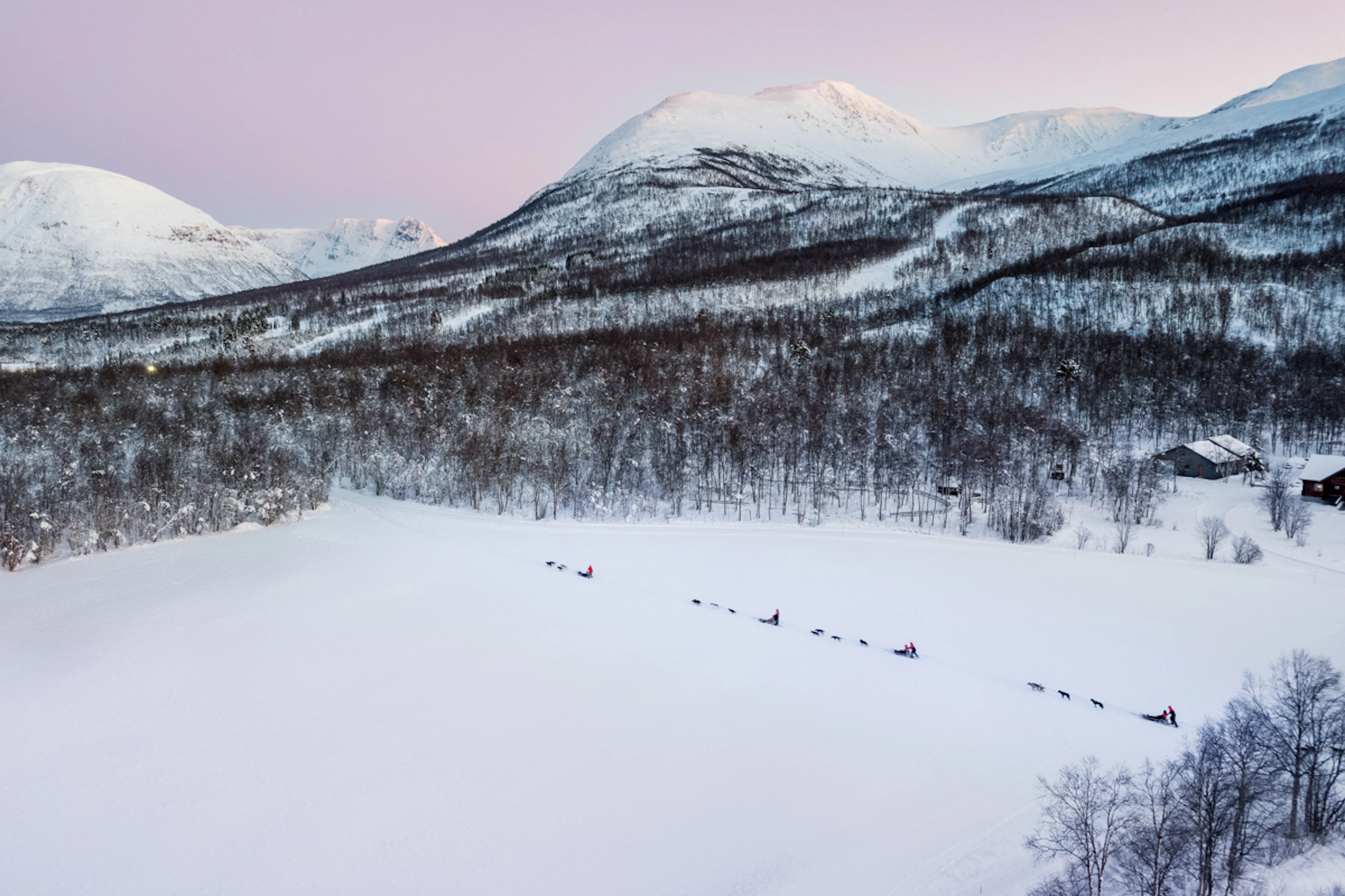 Hundeschlittenabenteuer tagsüber mit Transport von Tromsø