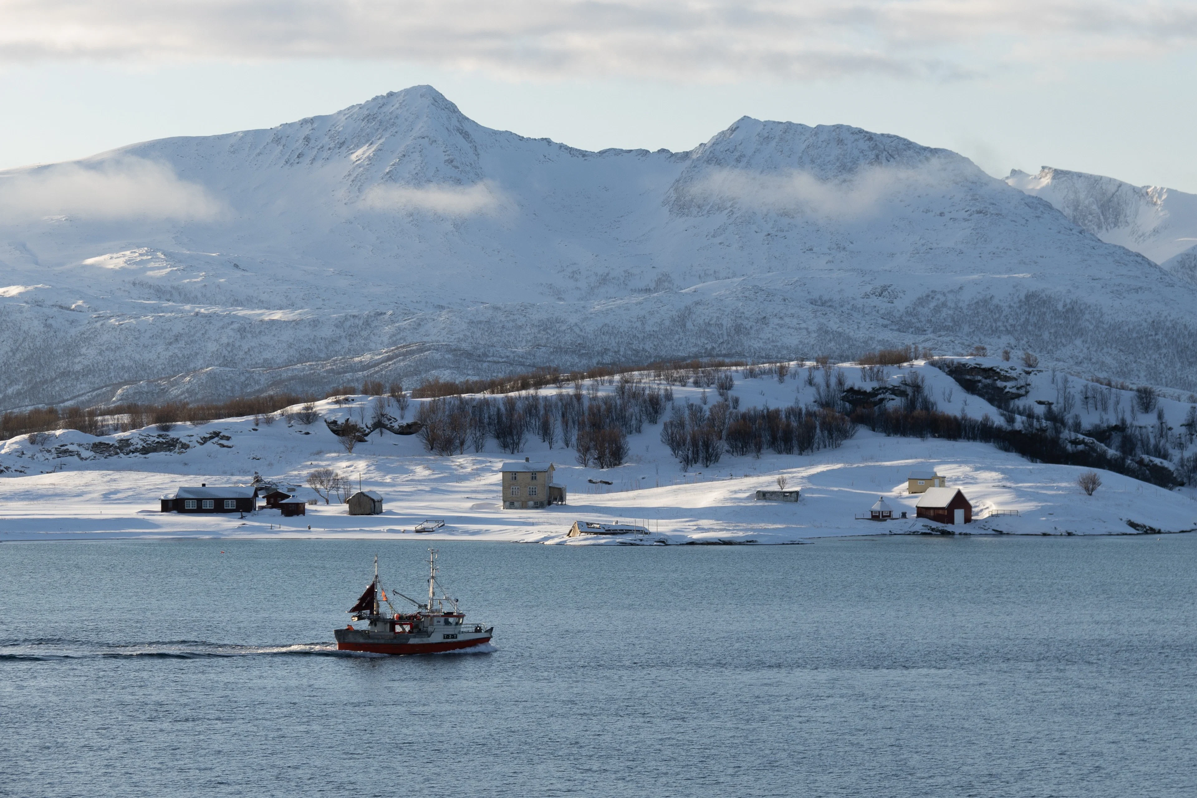 All-inclusive Arktis-Tagesausflug: Rundfahrt um Kvaløya und die arktischen Fjorde - Tromsø