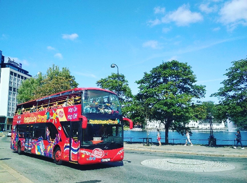 Combo Ticket: Fjord Sightseeing Cruise & Hop-On Hop-Off Bus in Oslo