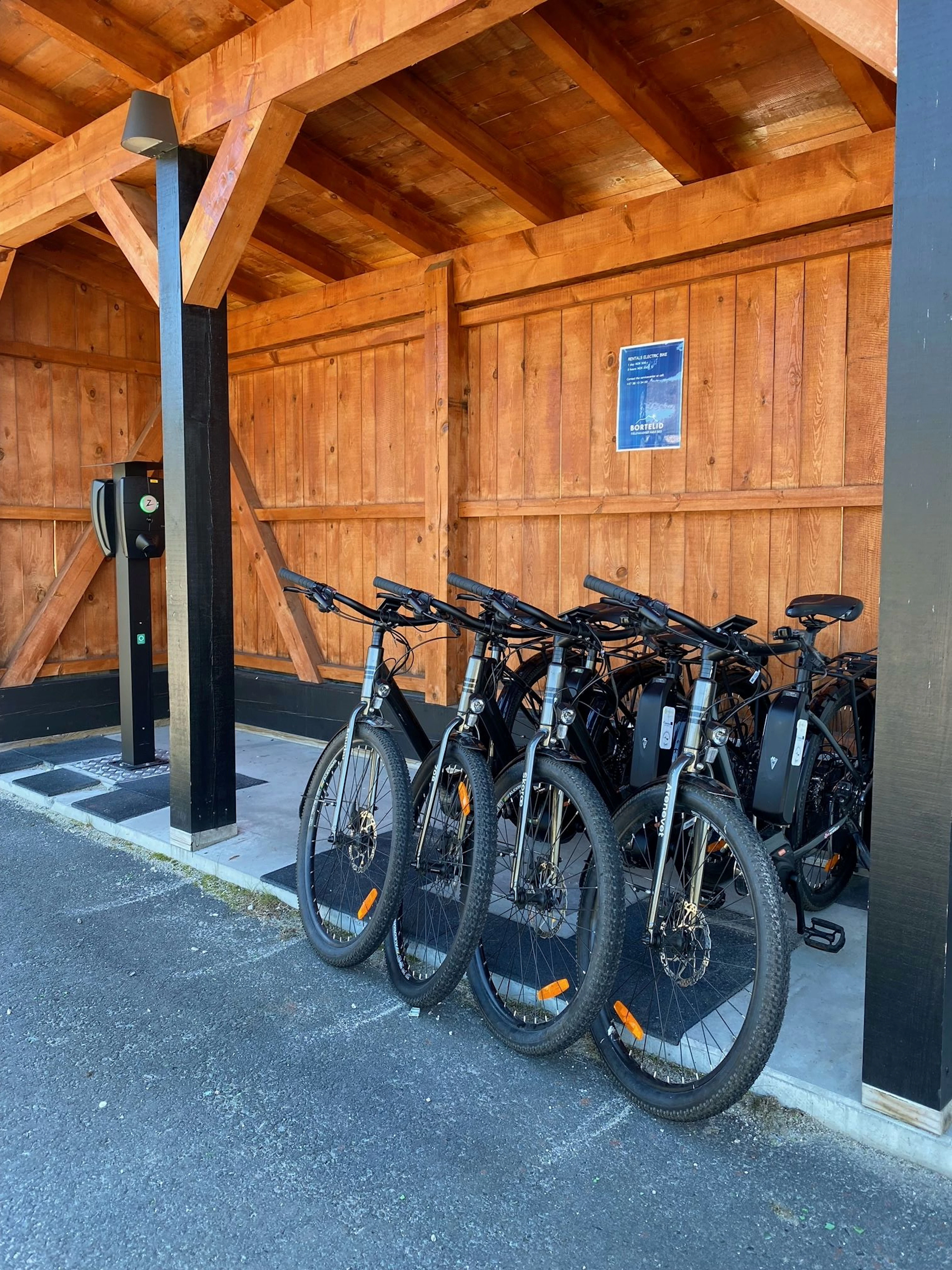 E-Bike-Verleih in Bortelid